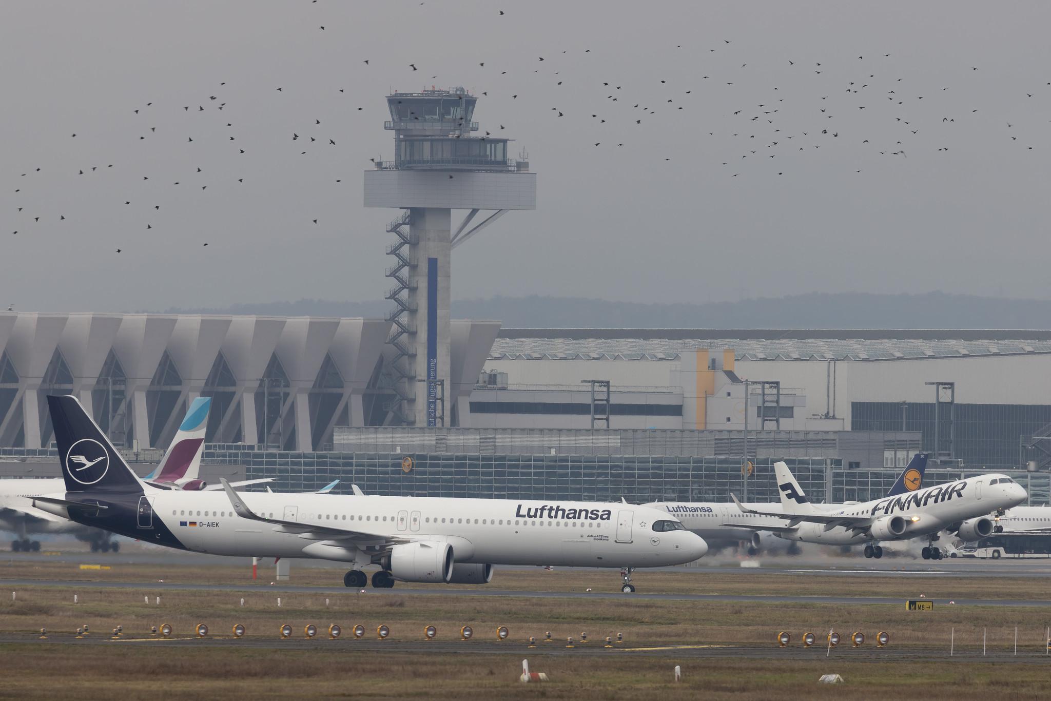 Frankfurt Airport: Lufthansa (LH / DLH) |  Airbus A321-271NX A21N | D-AIEK | MSN 10583