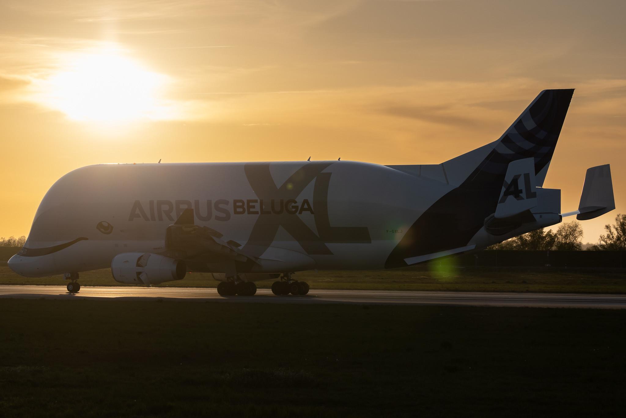 Hamburg Finkenwerder: Airbus Transport International (4Y / BGA) | Airbus A330-743L Beluga XL A337 | F-GXLJ | MSN 1985