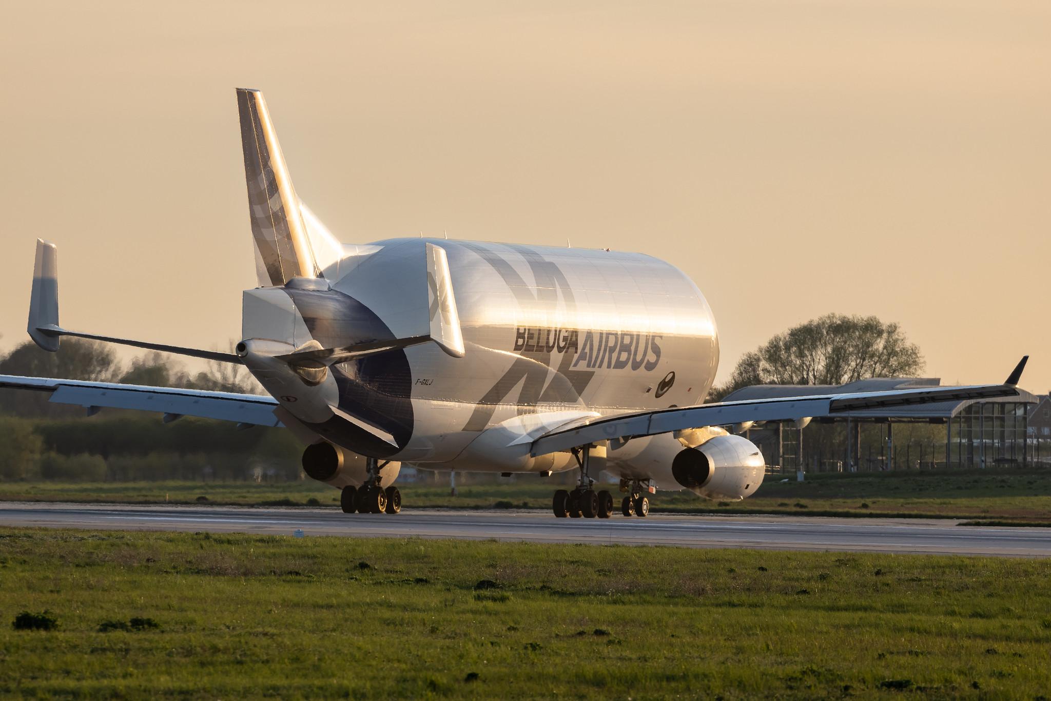 Hamburg Finkenwerder: Airbus Transport International (4Y / BGA) | Airbus A330-743L Beluga XL A337 | F-GXLJ | MSN 1985