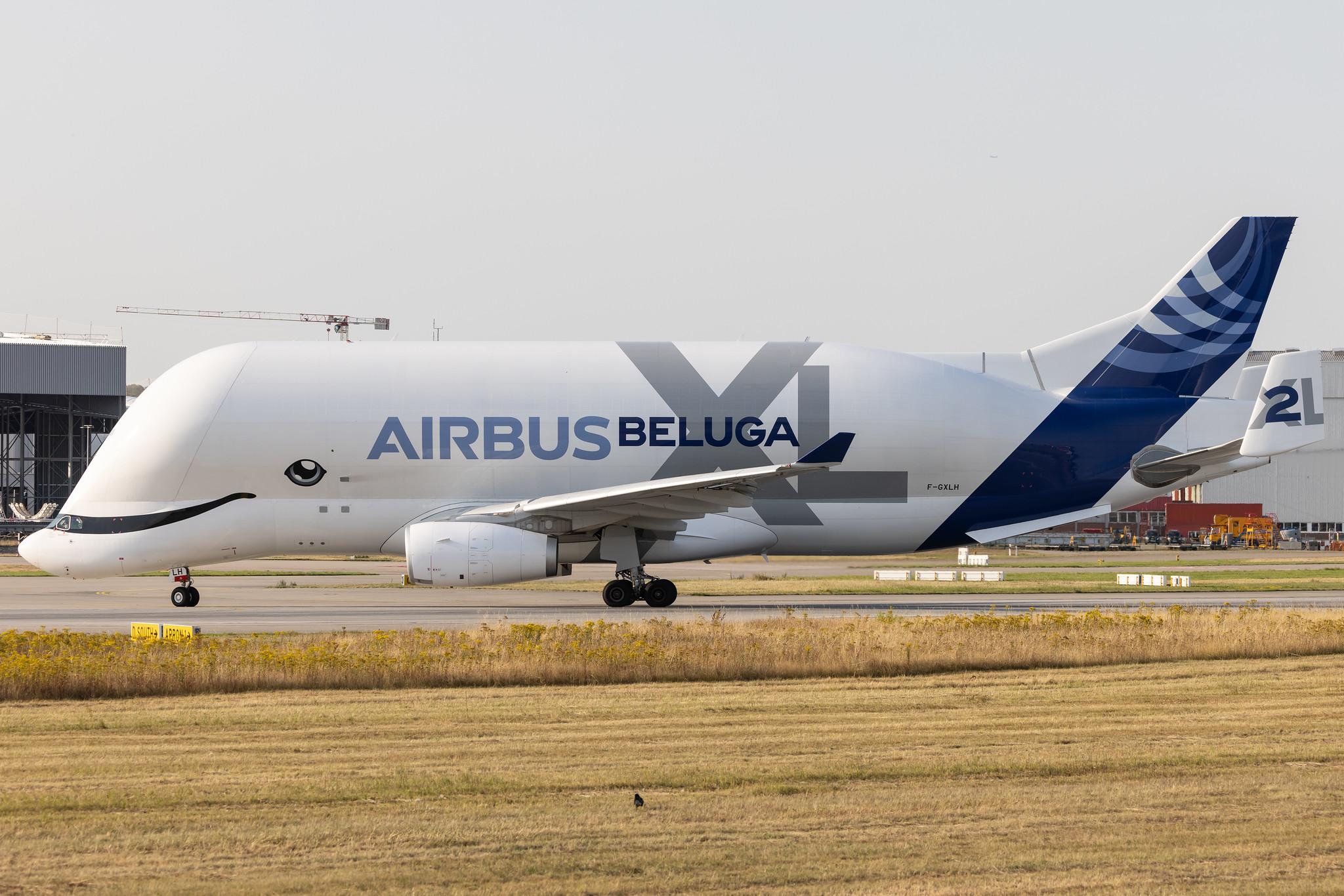 Hamburg Finkenwerder: Airbus Transport International (4Y / BGA) | Airbus A330-743L Beluga XL A337 | F-GXLH | MSN 1853