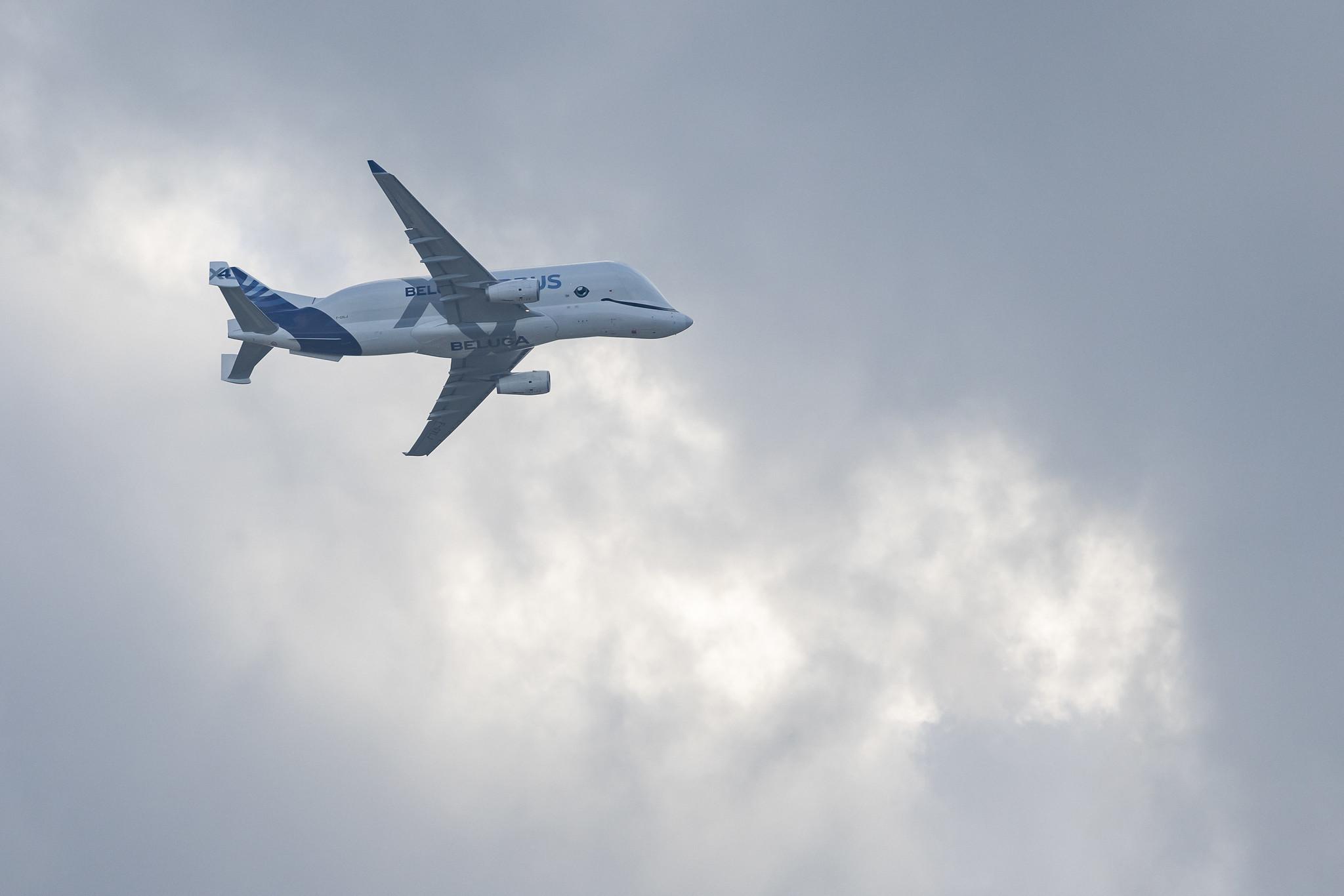 Hamburg Airport: Airbus Transport International (4Y / BGA) | Airbus A330-743L Beluga XL A337 | F-GXLJ | MSN 1985