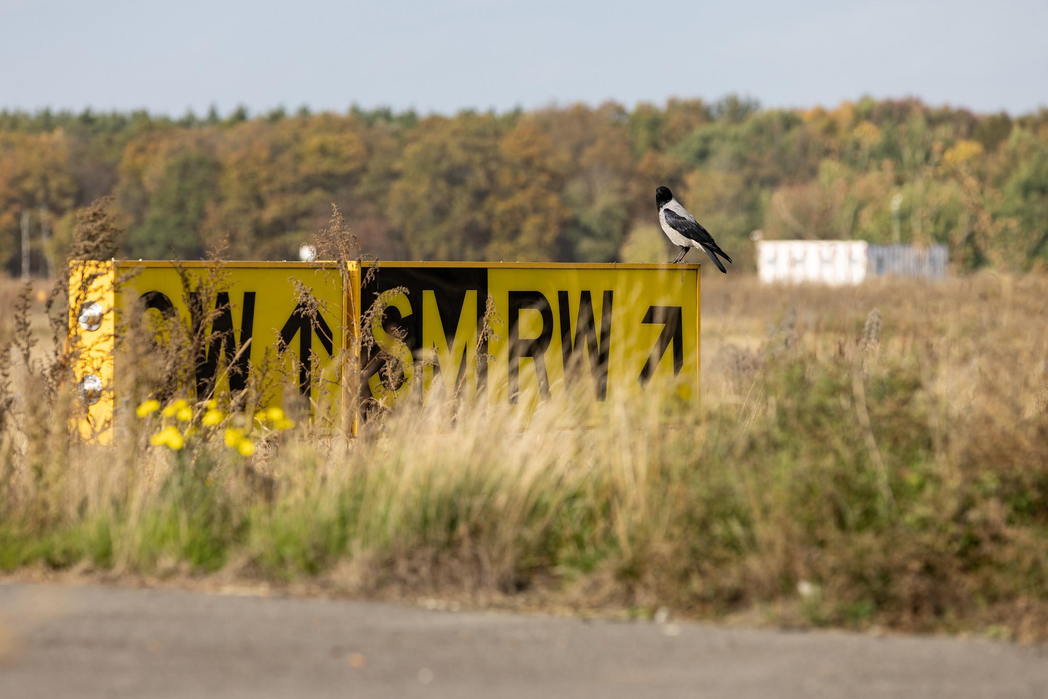 Flughafen Berlin Tegel (TXL)