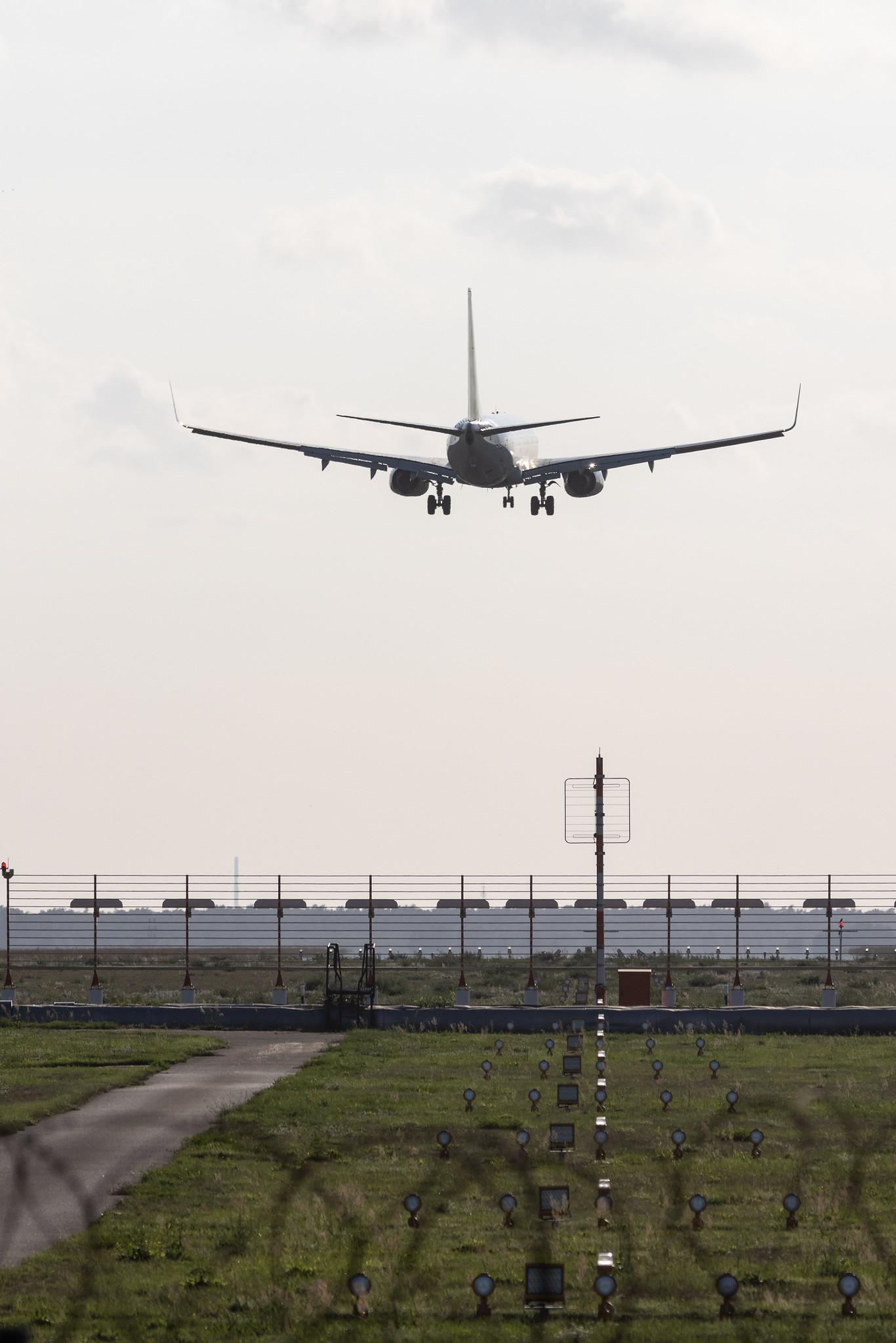 Flughafen Berlin Brandenburg: Transavia (HV / TRA) | Operator: Transavia France |  Boeing 737-8K2 B738 | F-GZHD | MSN 29650