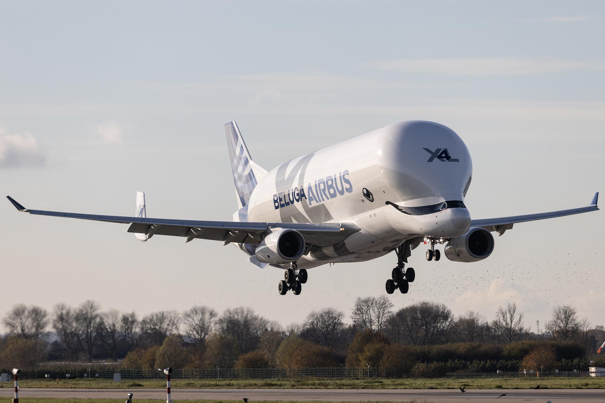 Hamburg Finkenwerder: Airbus Transport International (4Y / BGA) | Airbus A330-743L Beluga XL A337 | F-GXLJ | MSN 1985
