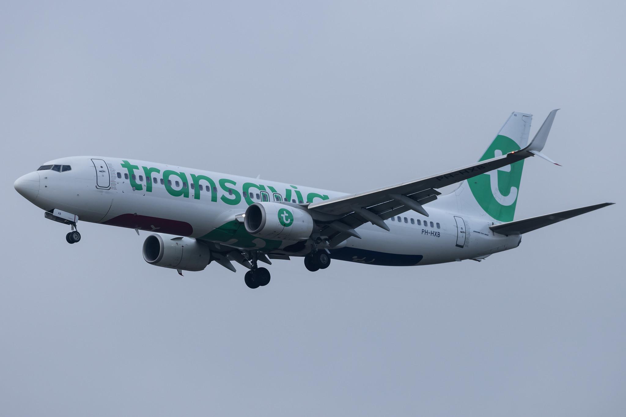 Amsterdam Schiphol: Transavia (HV / TRA) | Boeing 737-8K2 B738 | PH-HXB | MSN 41340
