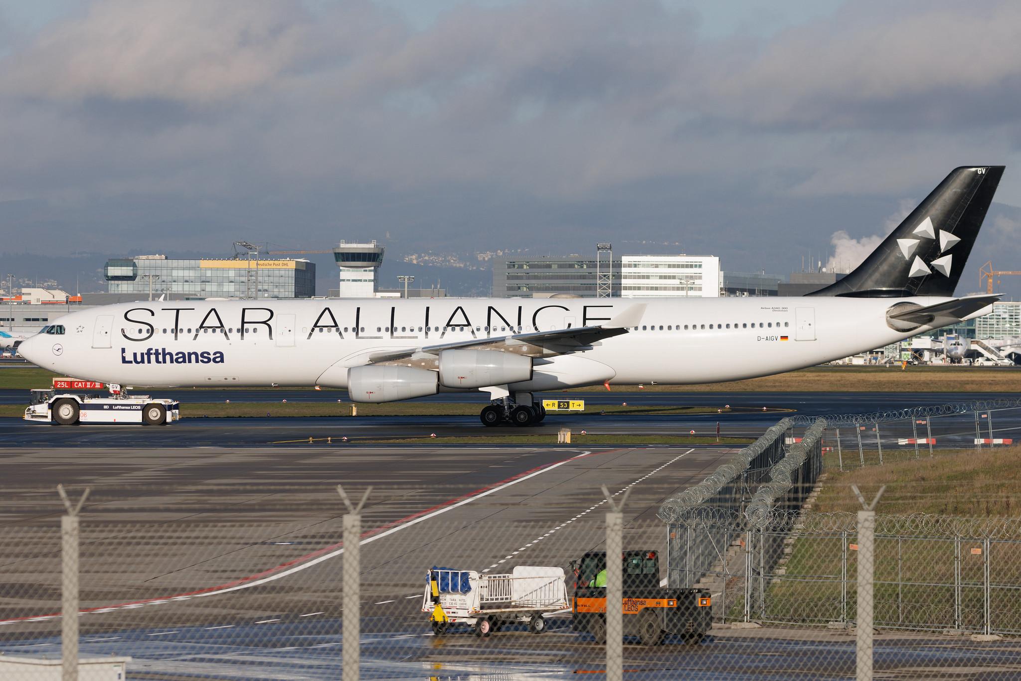 Frankfurt Airport: Lufthansa (LH / DLH) | Livery: Star Alliance Livery | Airbus A340-313 A343 | D-AIGV | MSN 0325