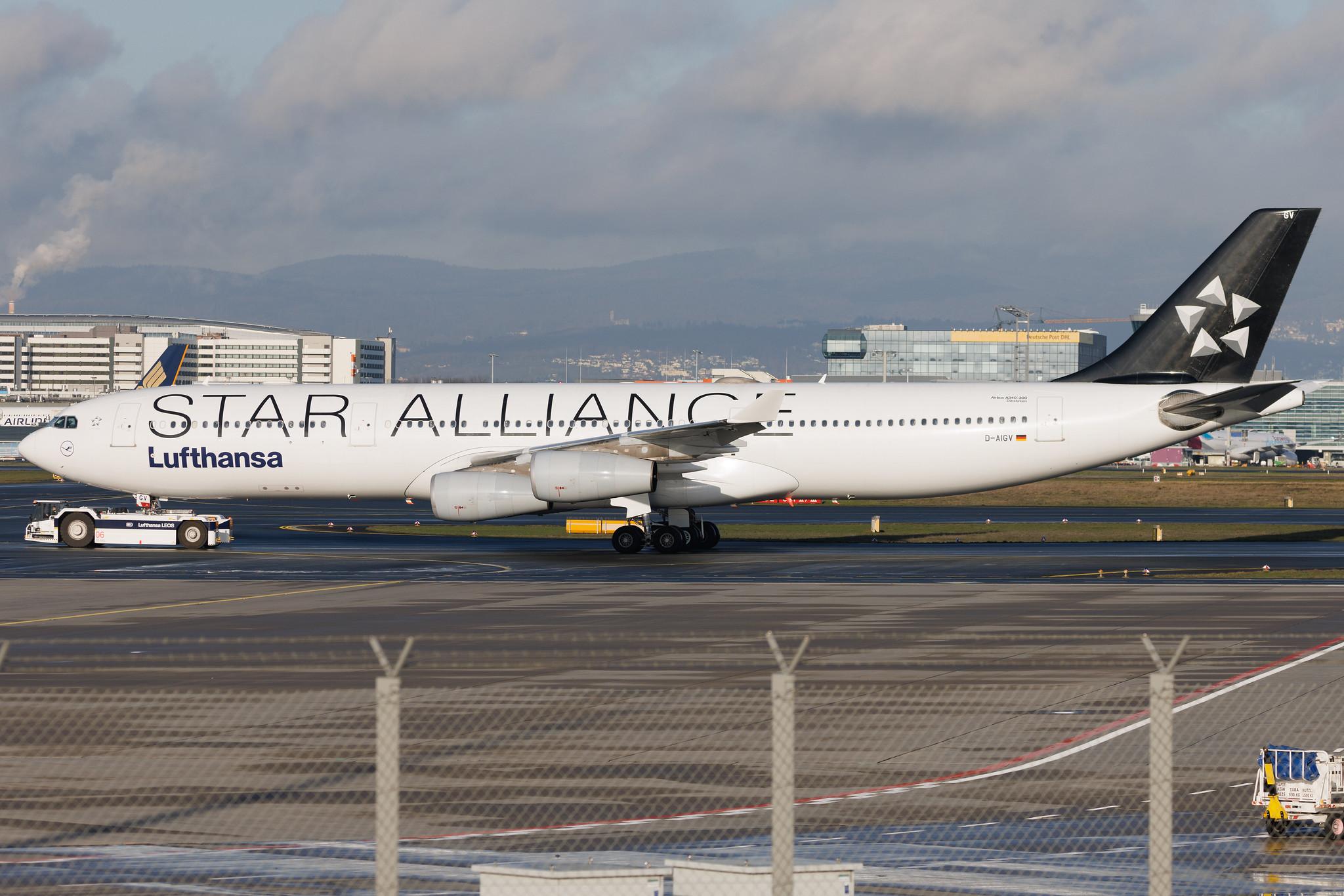 Frankfurt Airport: Lufthansa (LH / DLH) | Livery: Star Alliance Livery | Airbus A340-313 A343 | D-AIGV | MSN 0325