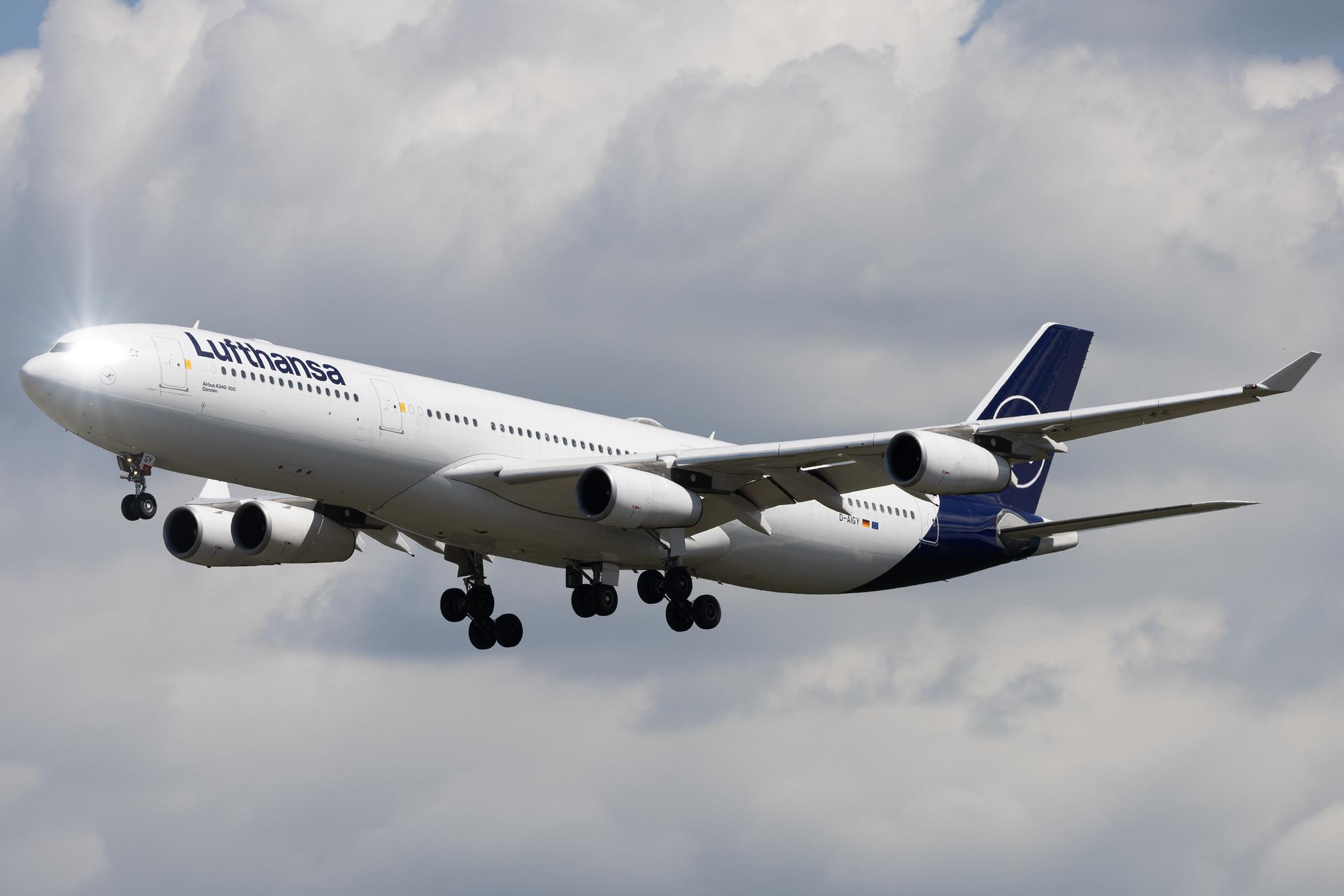 Frankfurt Airport: Lufthansa (LH / DLH) |  Airbus A340-313 A343 | D-AIGY | MSN 0335