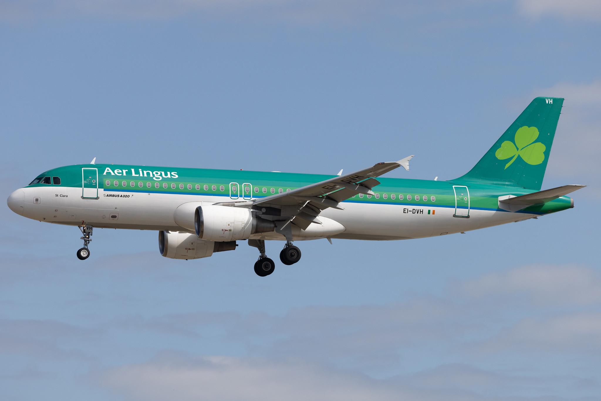Frankfurt Airport: Aer Lingus (EI / EIN) |  Airbus A320-214 A320 | EI-DVH | MSN 3345