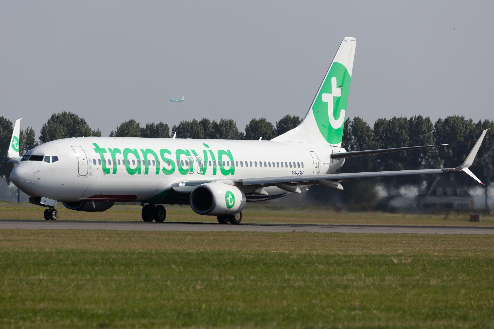 Amsterdam Schiphol: Transavia (HV / TRA) |  Boeing 737-8K2 B738 | PH-HSM | MSN 42067