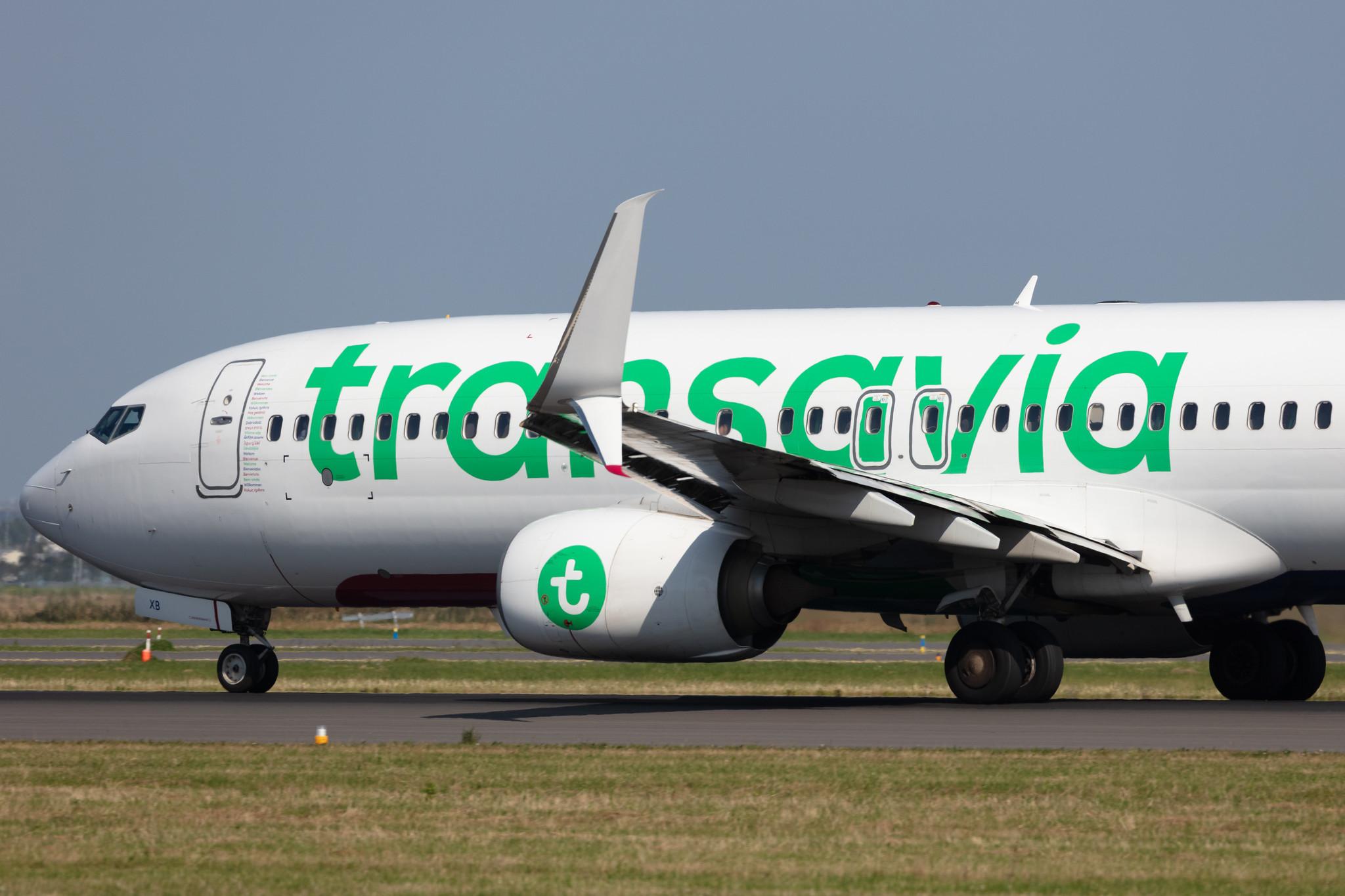 Amsterdam Schiphol: Transavia (HV / TRA) |  Boeing 737-8K2 B738 | PH-HXB | MSN 41340