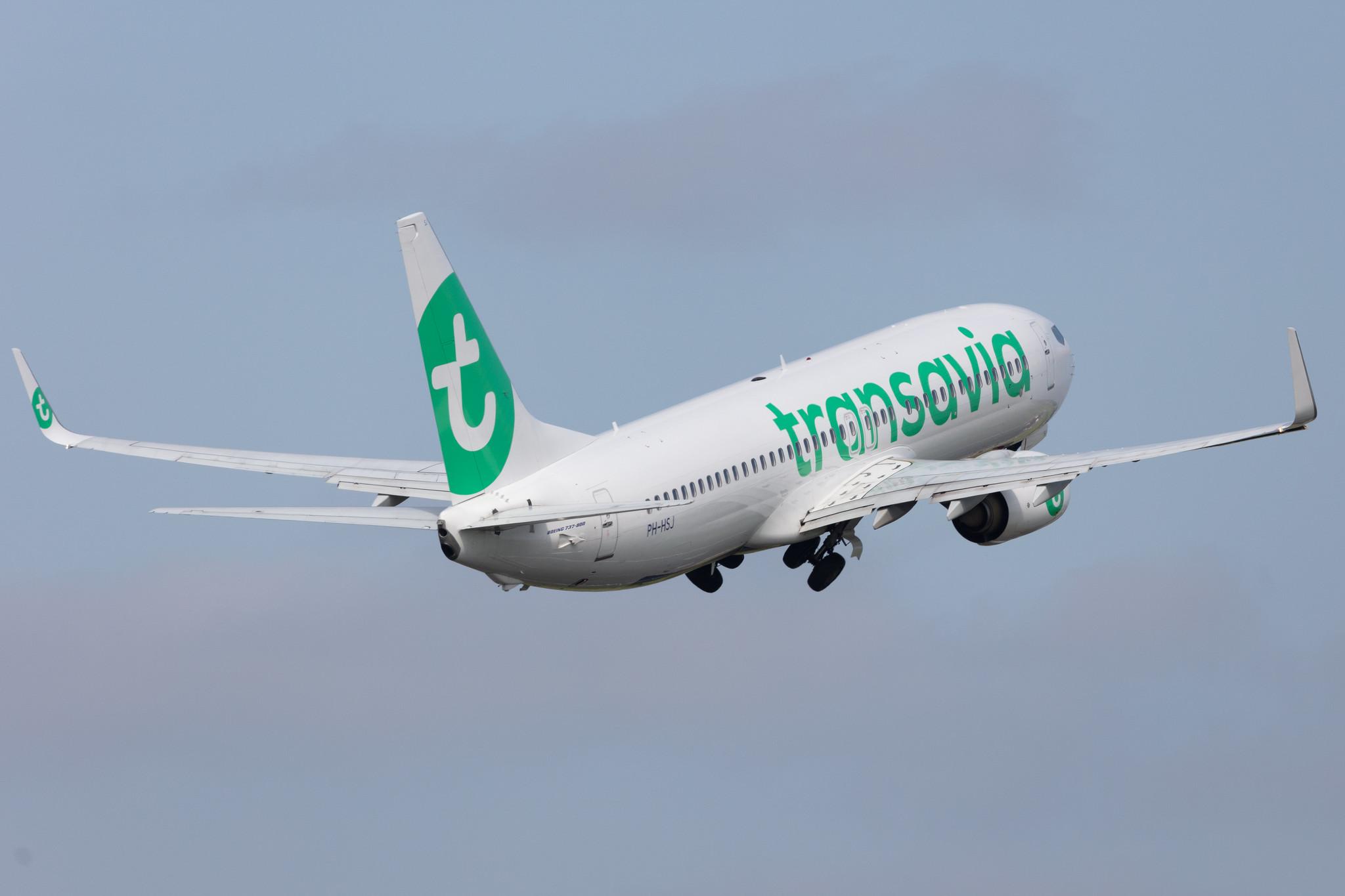 Amsterdam Schiphol: Transavia (HV / TRA) |  Boeing 737-8K2 B738 | PH-HSJ | MSN 42150