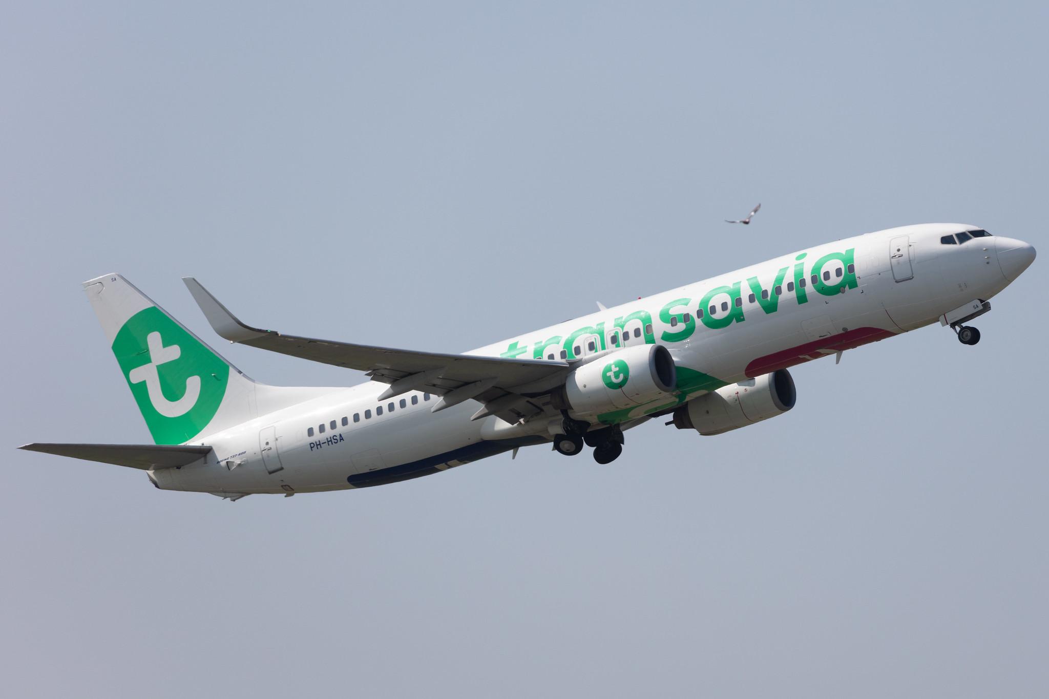 Amsterdam Schiphol: Transavia (HV / TRA) |  Boeing 737-8K2 B738 | PH-HSA | MSN 34171