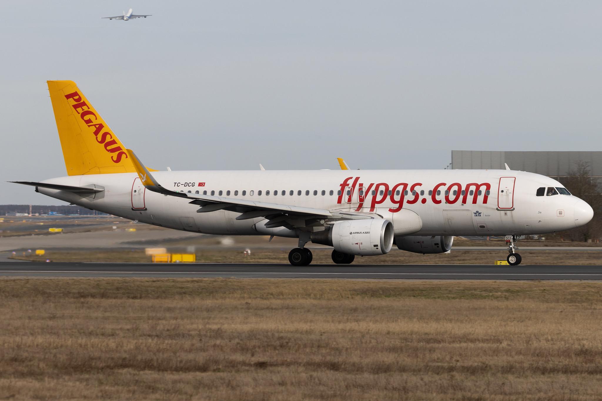 Frankfurt Airport: Pegasus (PC / PGT) | Operator: Pegasus Airlines | Airbus A320-216 A320 | TC-DCG | MSN 06597