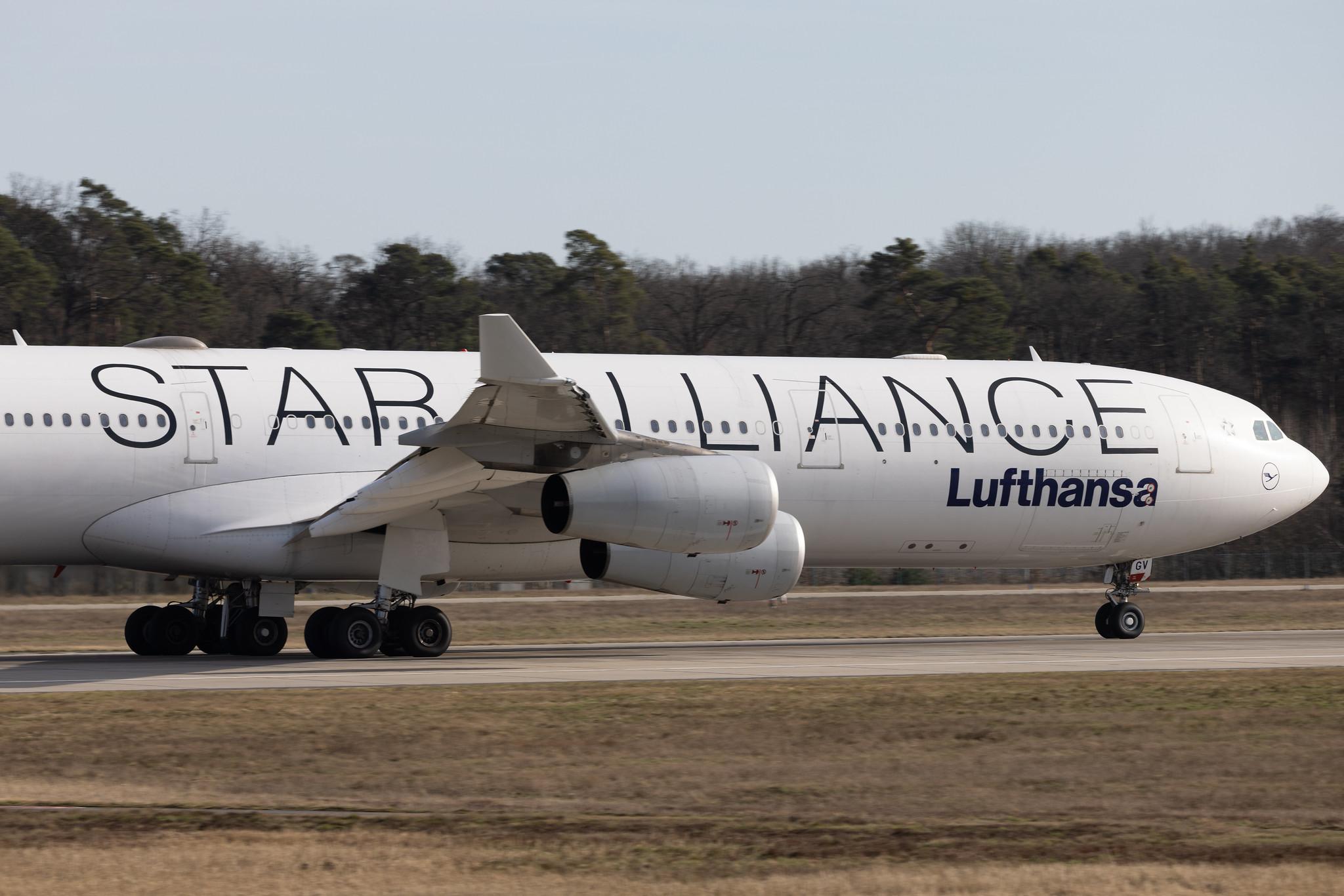 Frankfurt Airport: Lufthansa (LH / DLH) | Livery: Star Alliance Livery | Airbus A340-313 A343 | D-AIGV | MSN 0325