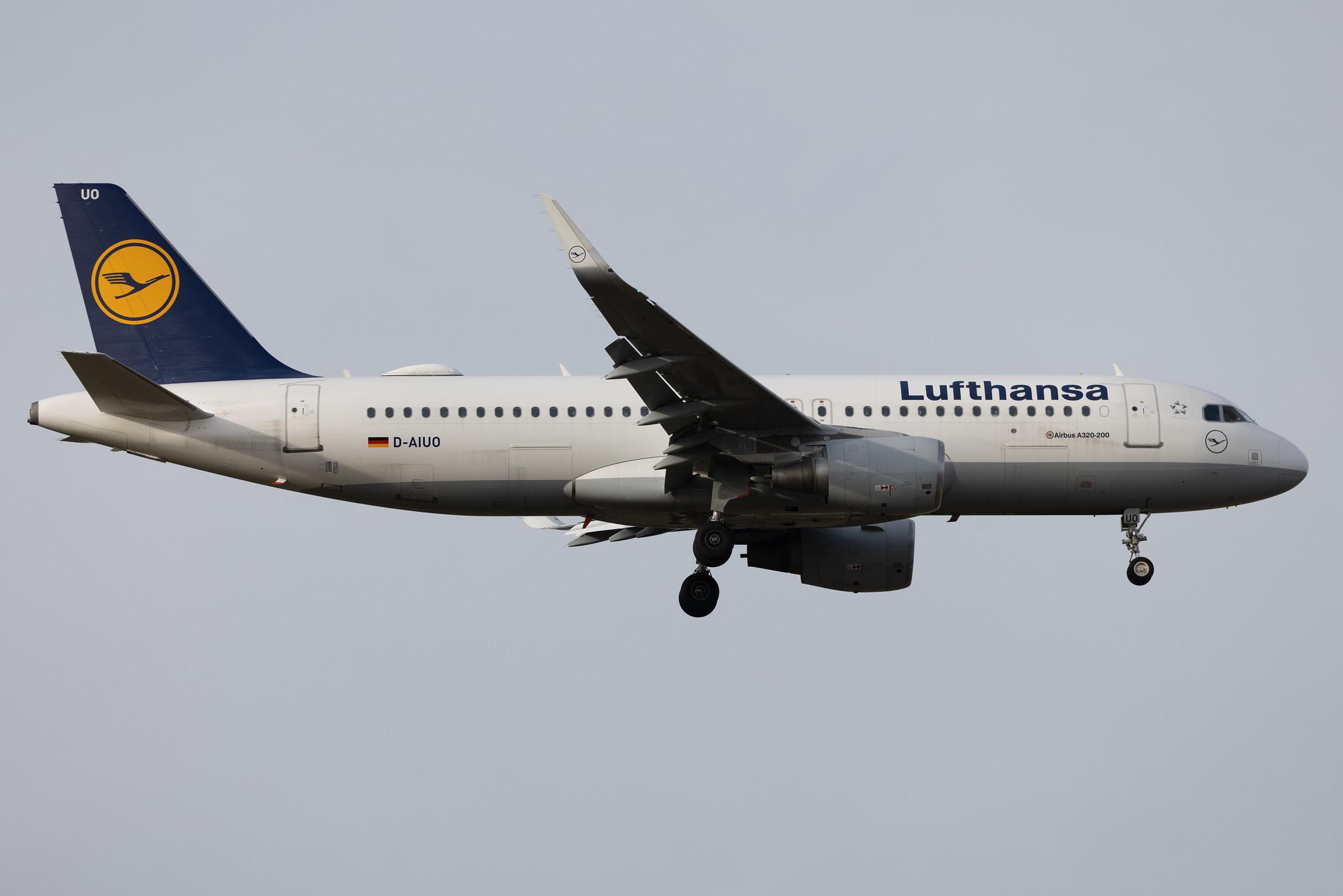 Frankfurt Airport: Lufthansa (LH / DLH) | Airbus A320-214 A320 | D-AIUO | MSN 6636