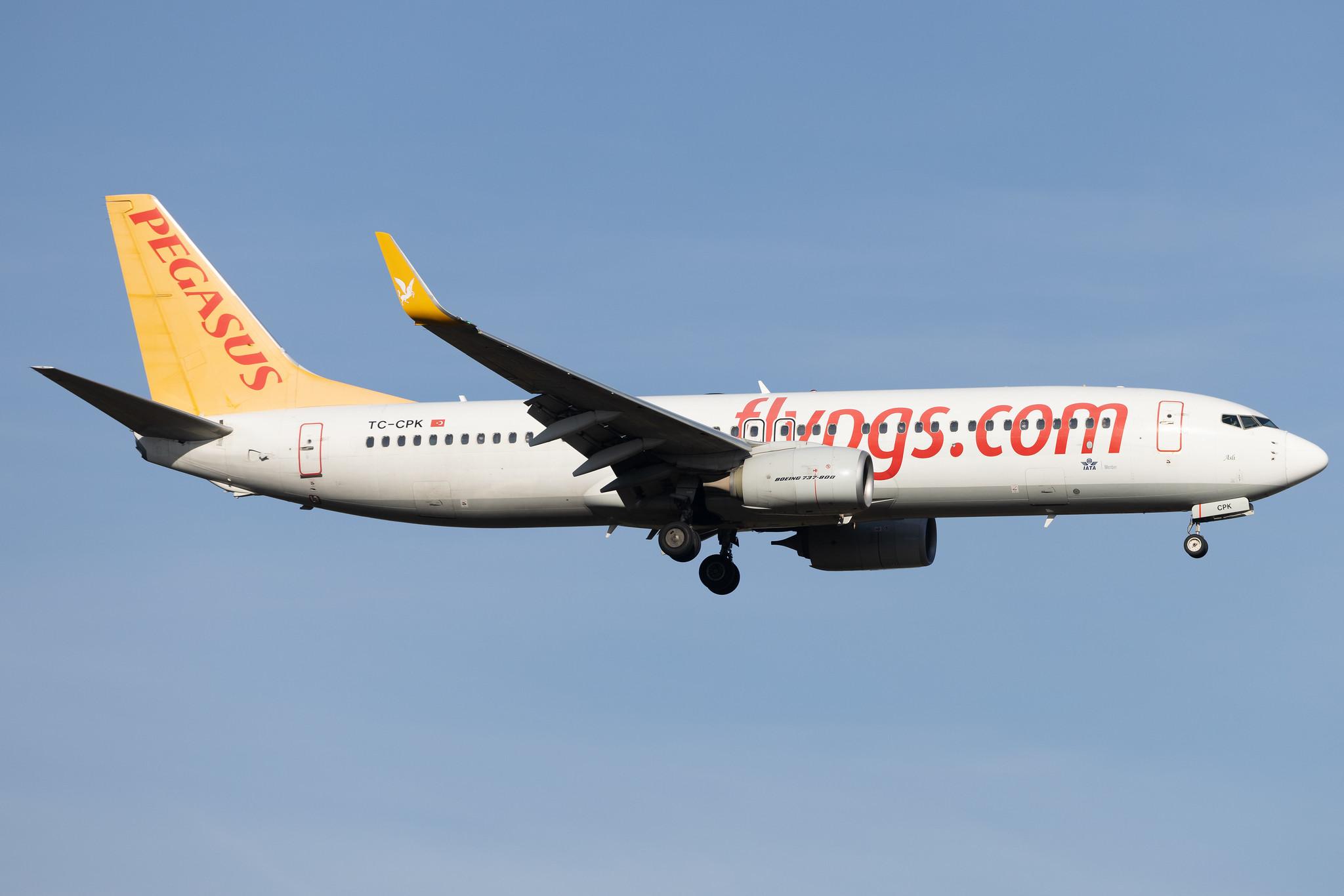 Frankfurt Airport: Pegasus (PC / PGT) | Operator: Pegasus Airlines | Boeing 737-82R B738 | TC-CPK | MSN 40009