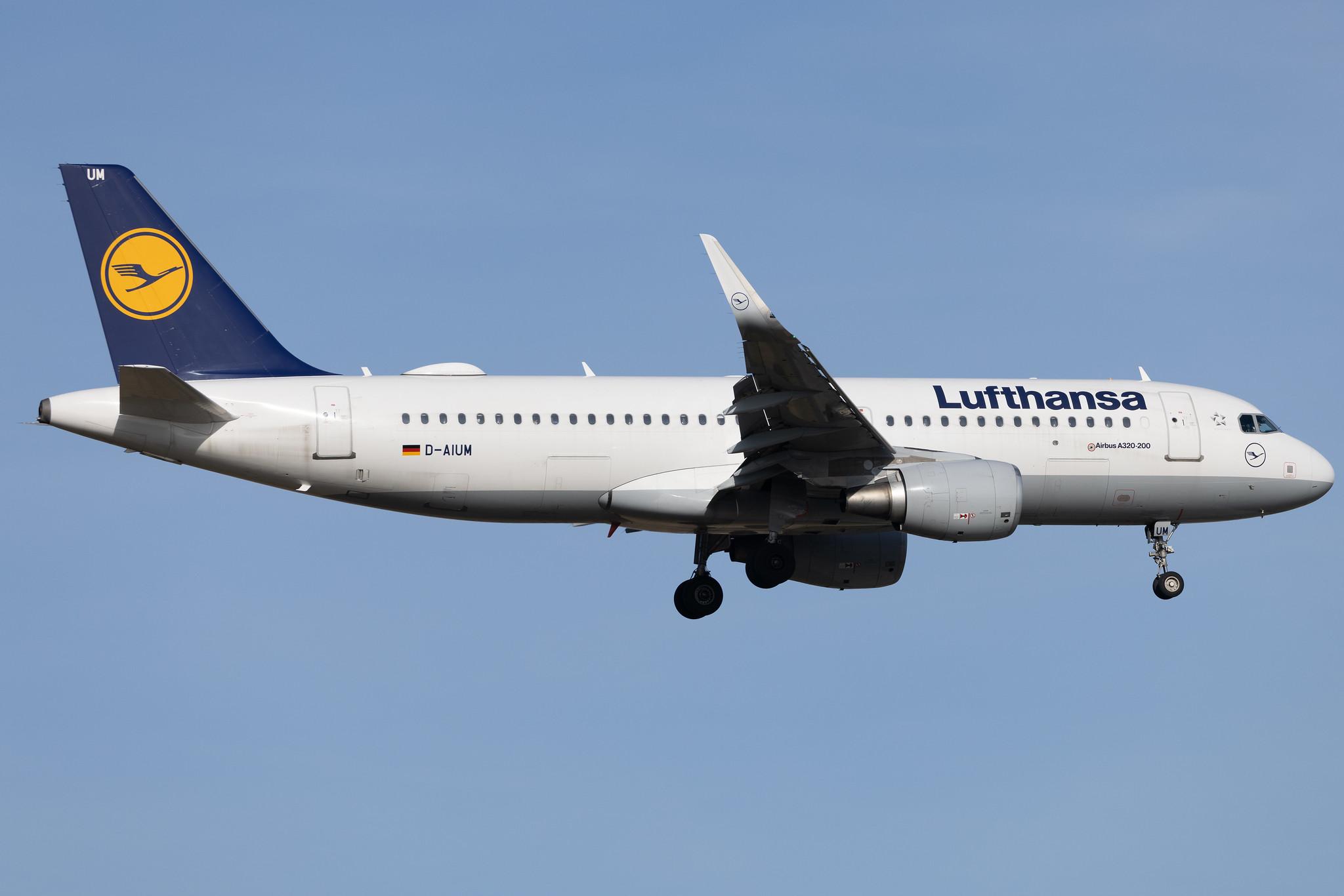 Frankfurt Airport: Lufthansa (LH / DLH) | Airbus A320-214 A320 | D-AIUM | MSN 6577