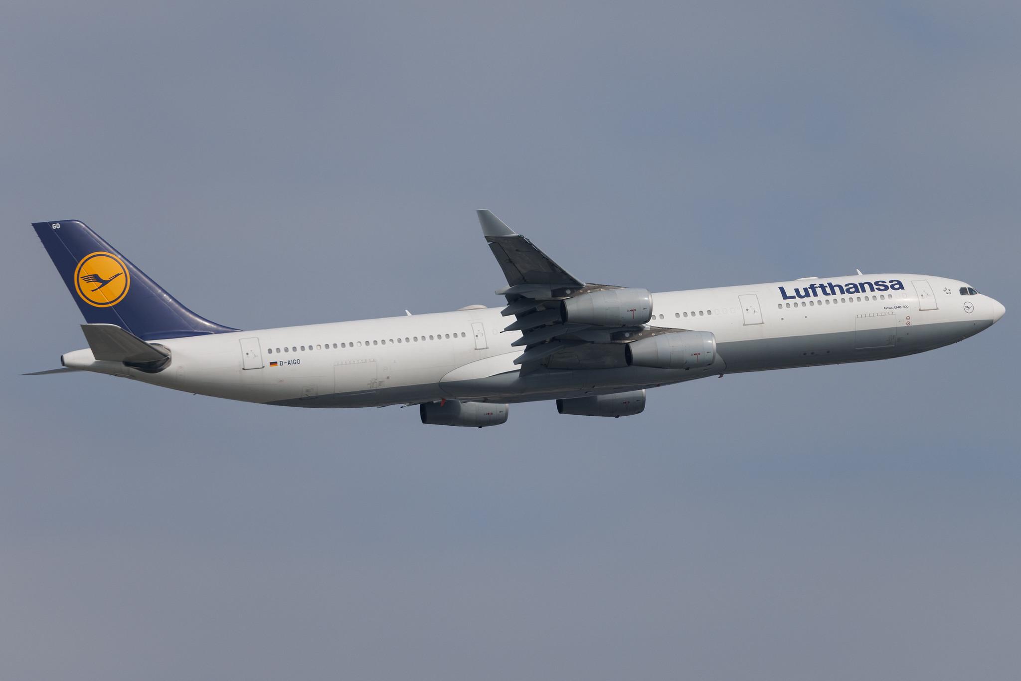 Frankfurt Airport: Lufthansa (LH / DLH) | Airbus A340-313 A343 | D-AIGO | MSN 0233