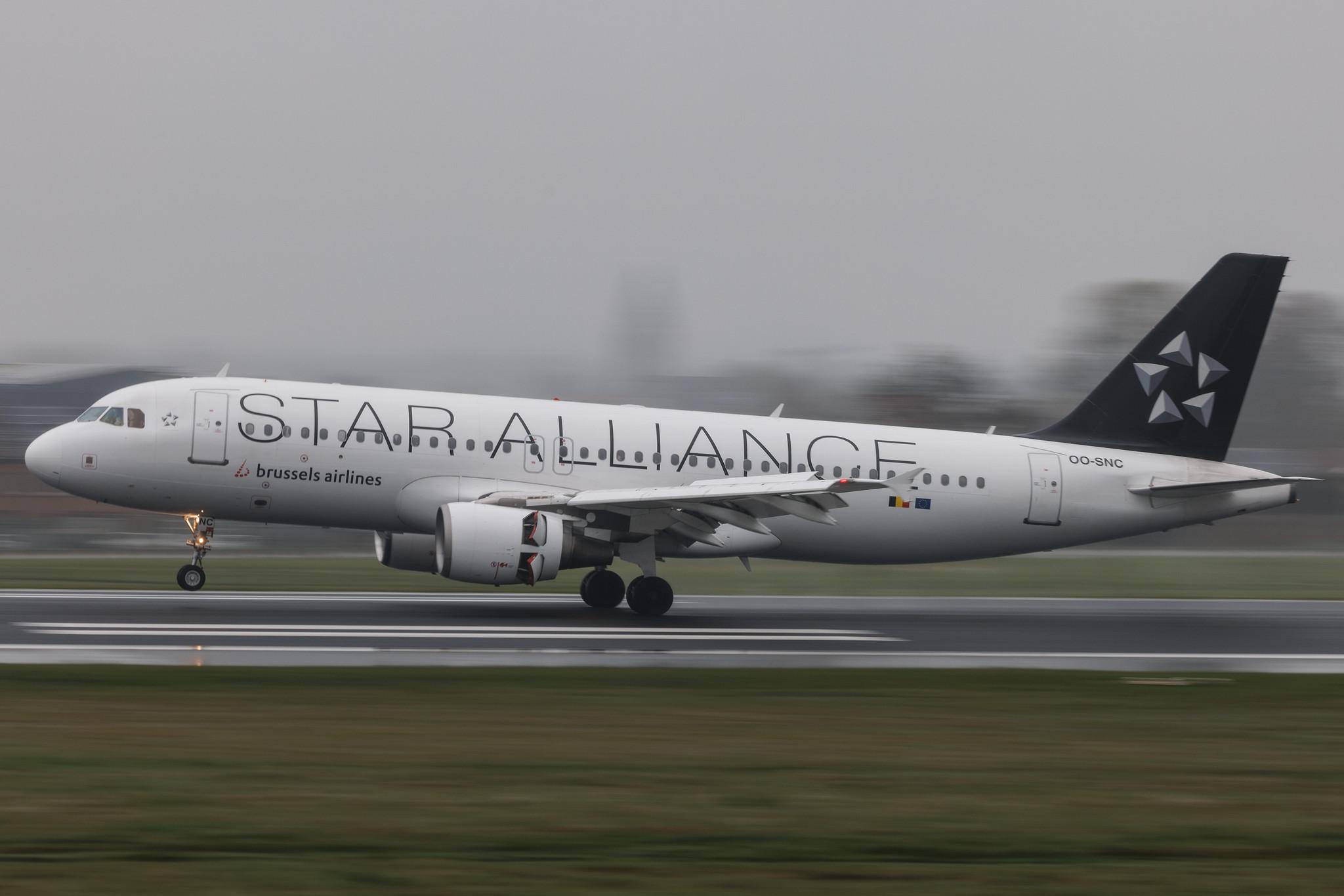 Brussels Airport: Brussels Airlines (SN / BEL) | Livery: Star Alliance Livery | Airbus A320-214 A320 | OO-SNC | MSN 1797