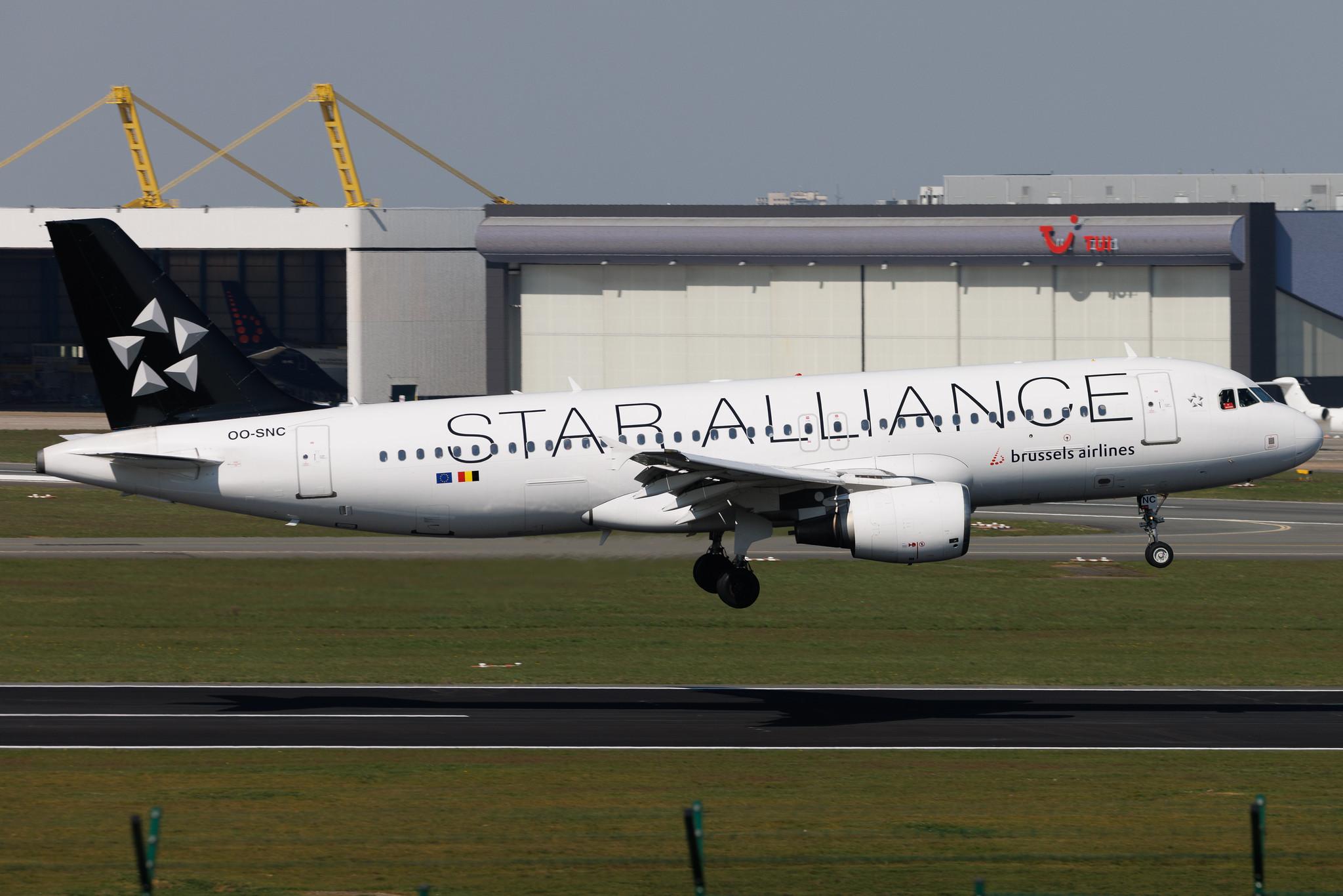 Brussels Airport: Brussels Airlines (SN / BEL) | Livery: Star Alliance Livery | Airbus A320-214 A320 | OO-SNC | MSN 1797
