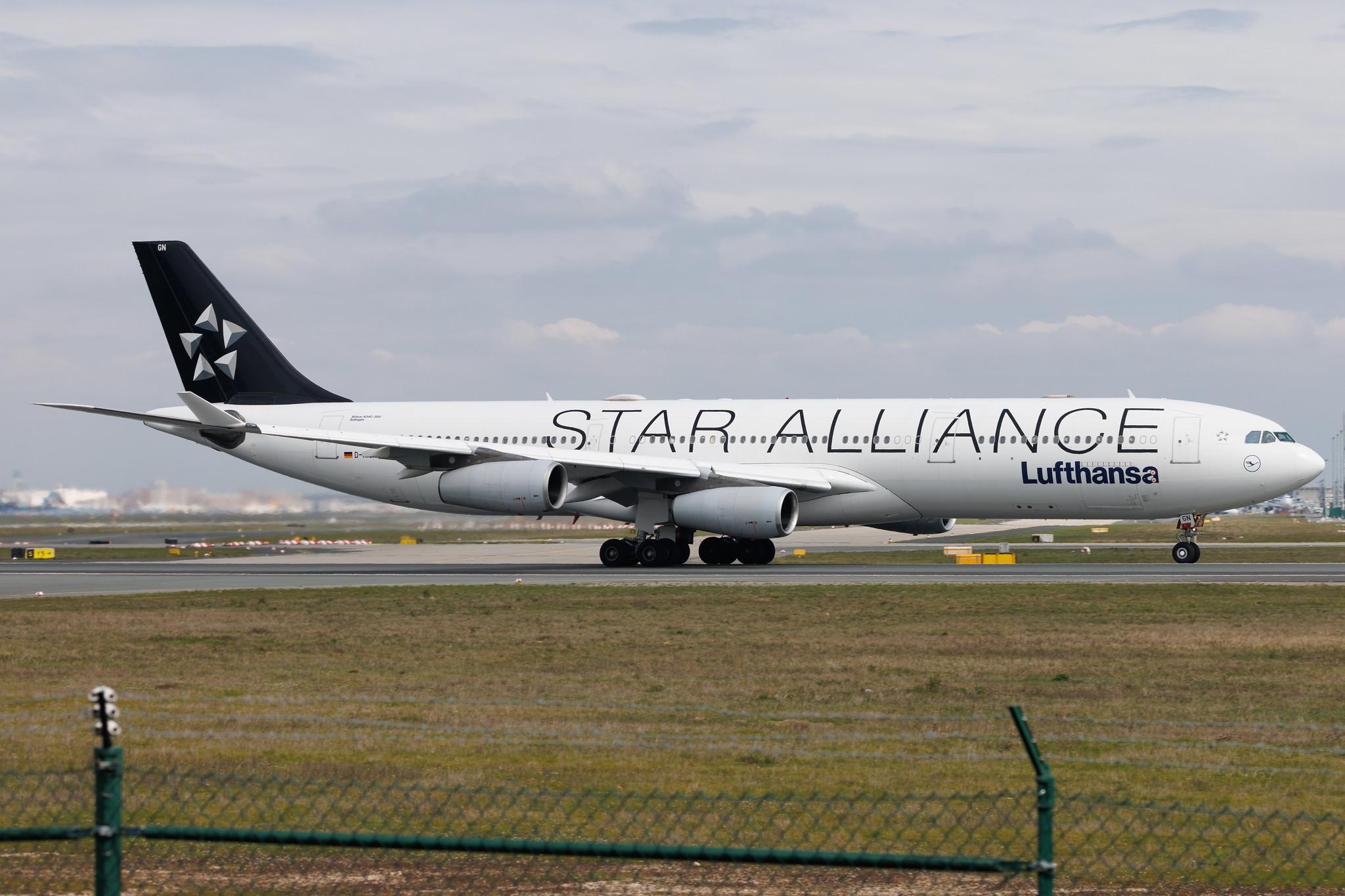 Frankfurt Airport: Lufthansa (LH / DLH) | Livery: Star Alliance Livery | Airbus A340-313 A343 | D-AIGN | MSN 0213