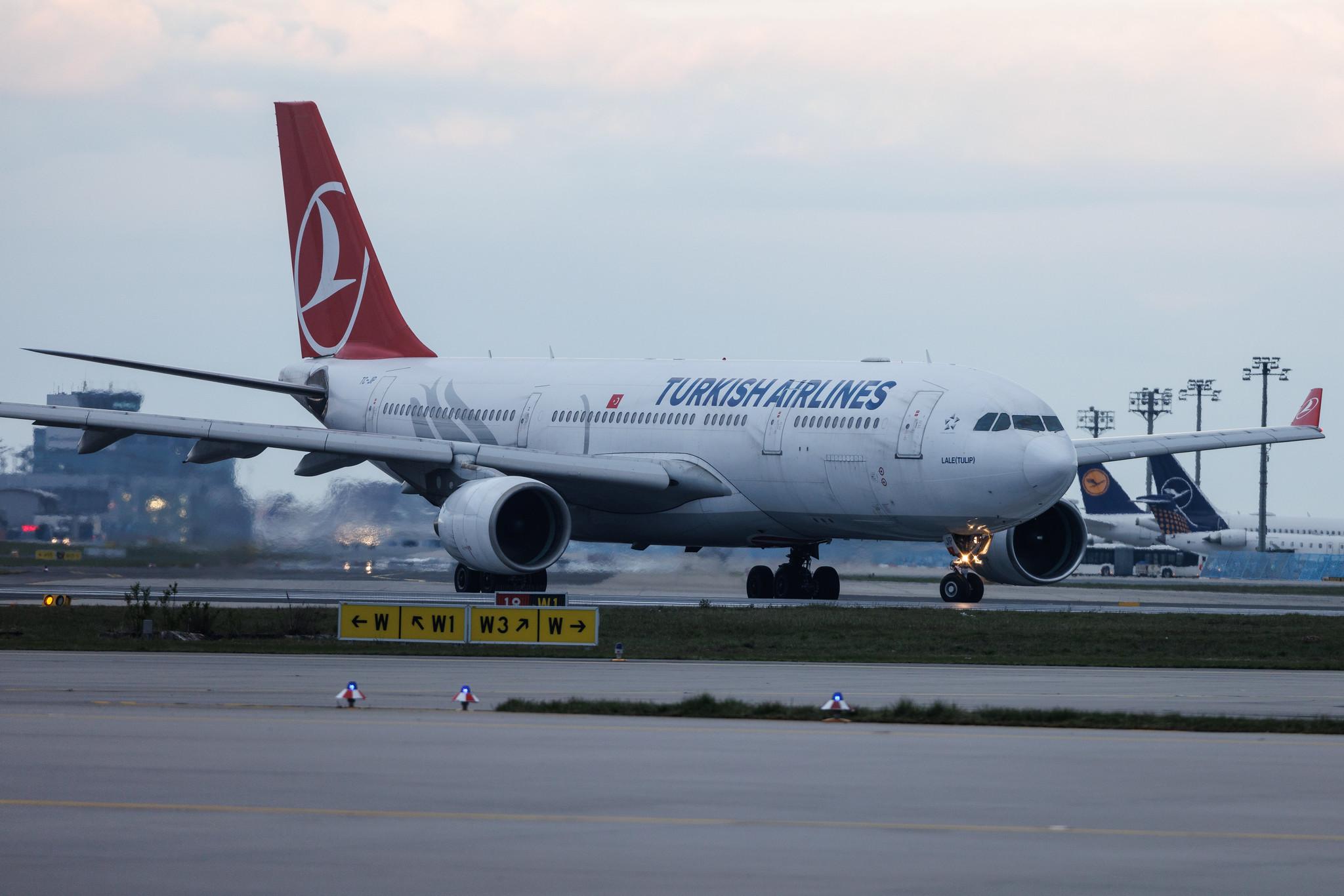 Frankfurt Airport: Turkish Airlines (TK / THY) | Airbus A330-223 A332 | TC-JIP | MSN 0876