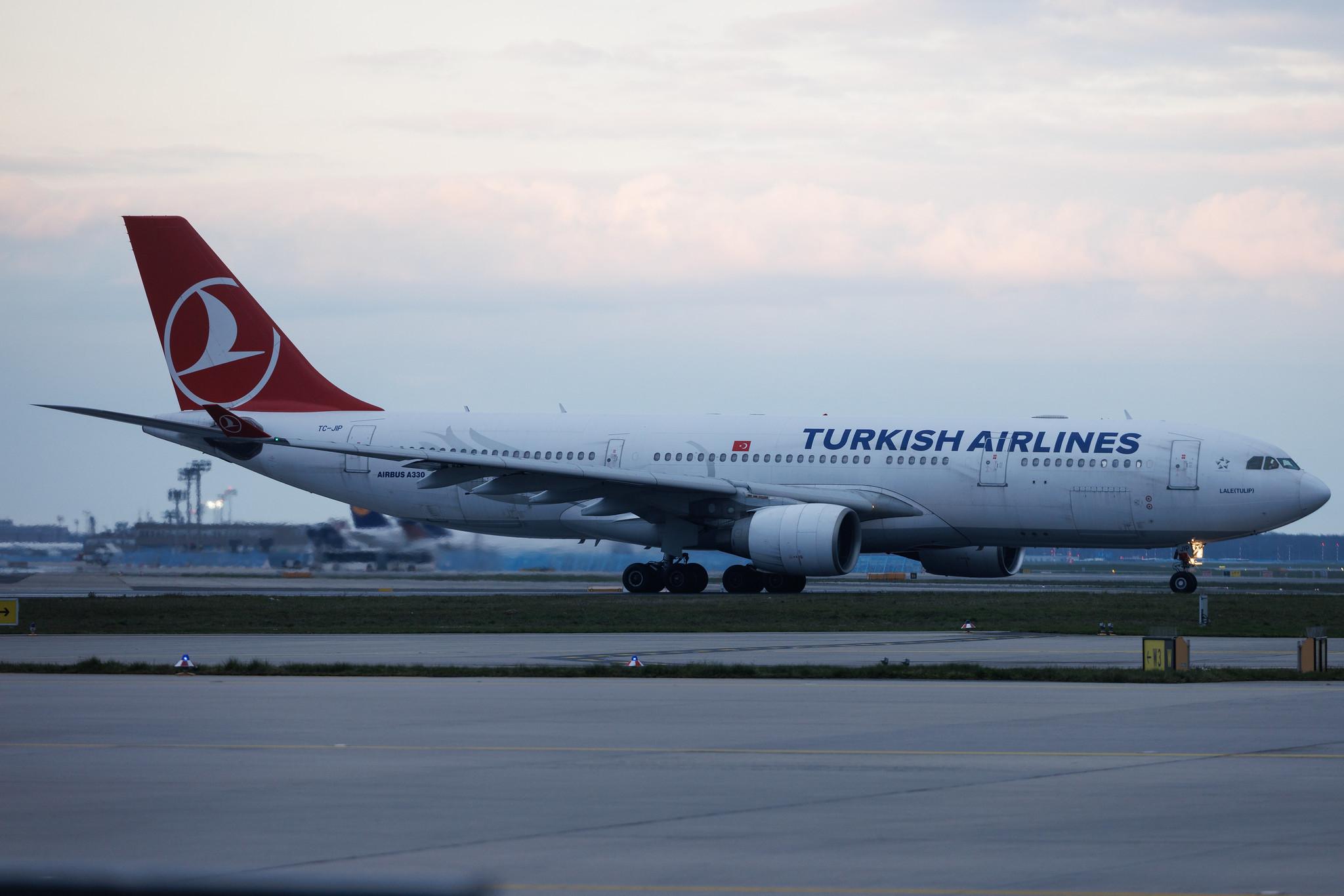Frankfurt Airport: Turkish Airlines (TK / THY) | Airbus A330-223 A332 | TC-JIP | MSN 0876