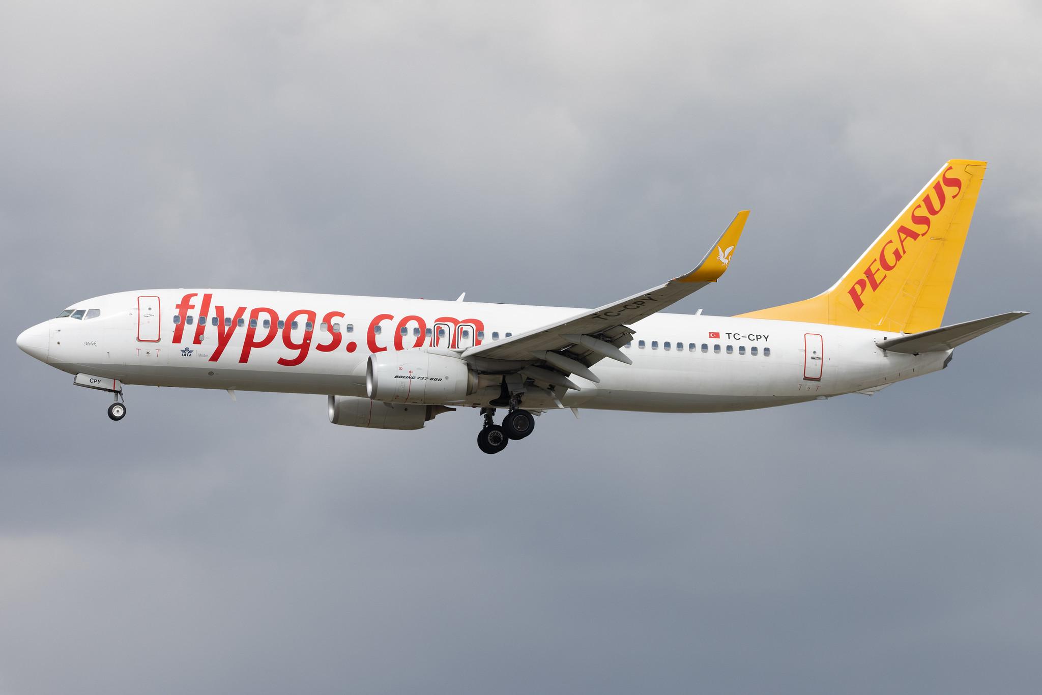 Frankfurt Airport: Pegasus Airlines (PC / PGT) | Boeing 737-8H6 B738 | TC-CPY | MSN 41767