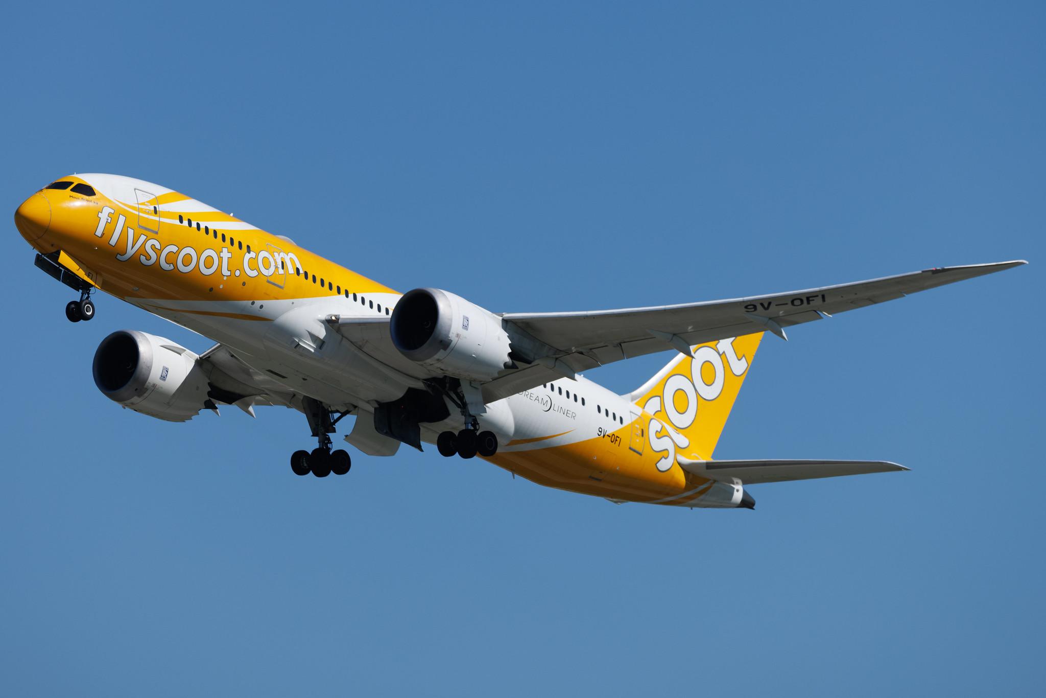 Flughafen Berlin Brandenburg: Scoot (TR / TGW) | Boeing 787-8 Dreamliner B788 | 9V-OFI | MSN 37125