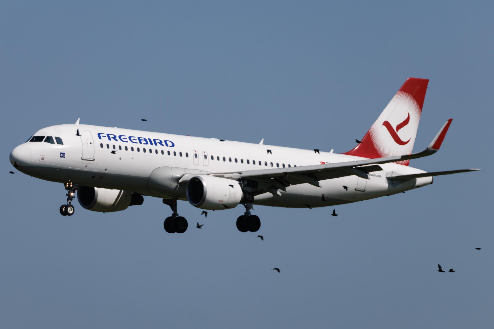 Flughafen Berlin Brandenburg: Freebird Airlines (FH / FHY) | Airbus A320-214 A320 | TC-FHN | MSN 5673