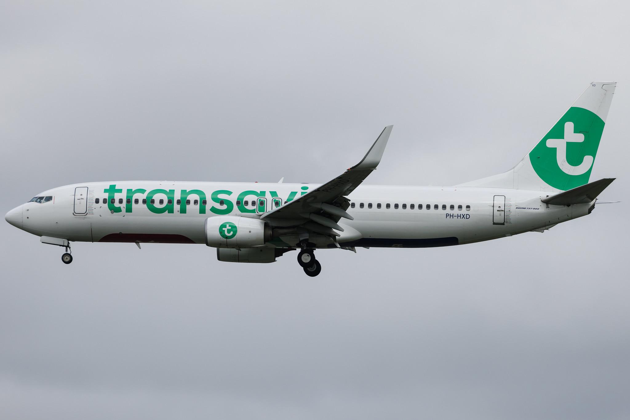 Amsterdam Schiphol: Transavia (HV / TRA) | Boeing 737-8K2 B738 | PH-HXD | MSN 61791
