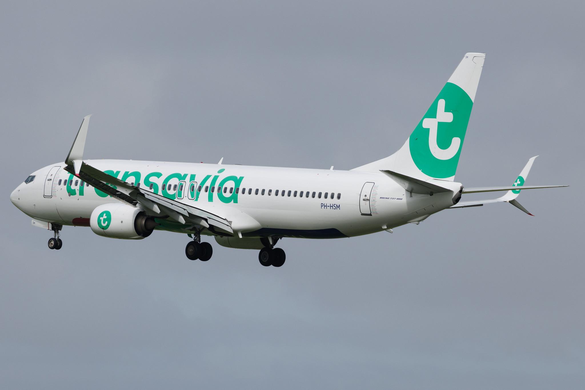 Amsterdam Schiphol: Transavia (HV / TRA) | Boeing 737-8K2 B738 | PH-HSM | MSN 42067