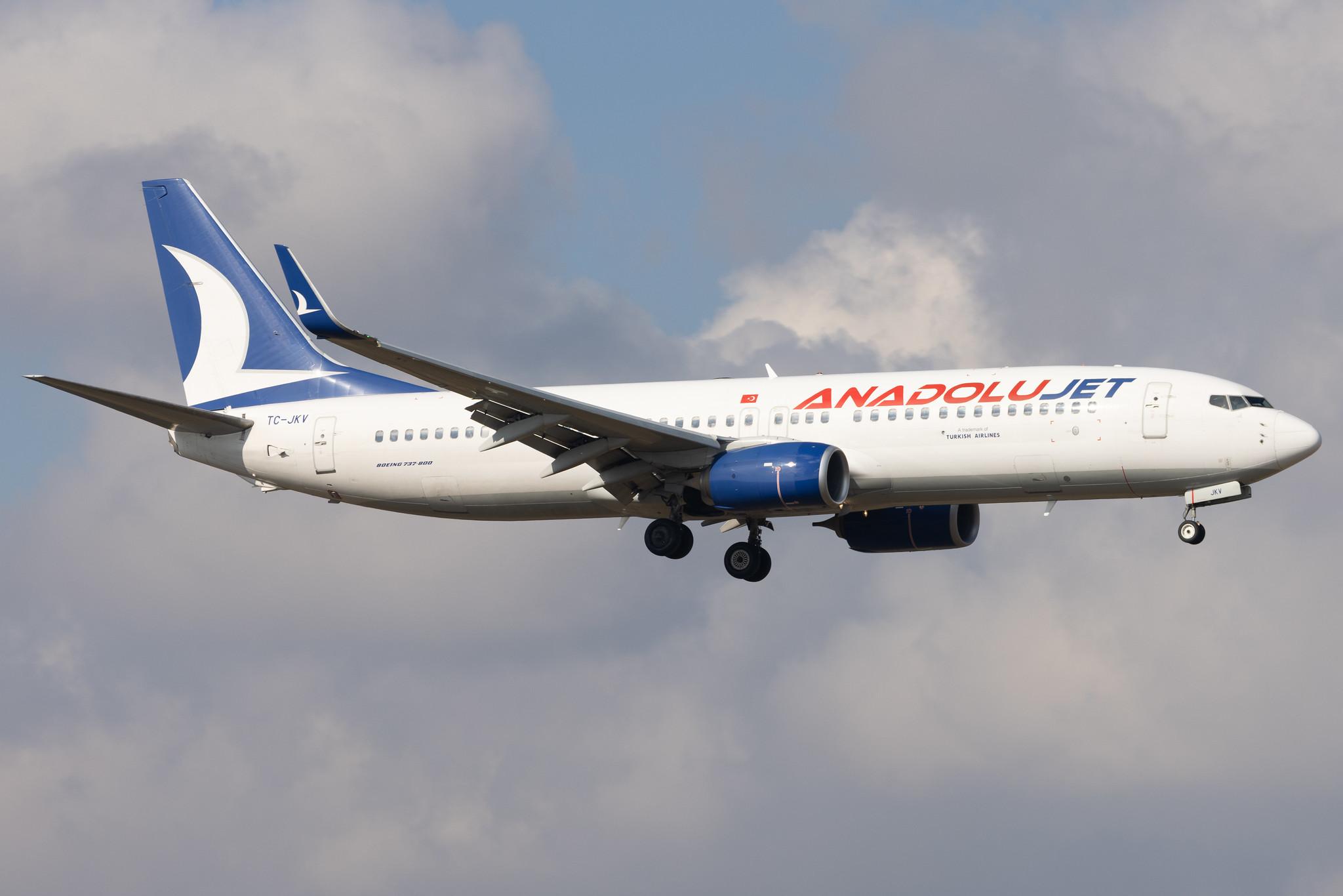 Flughafen Berlin Brandenburg: AnadoluJet (TK / THY) | Operator: SunExpress | Boeing 737-8Q8 B738 | TC-JKV | MSN 41808