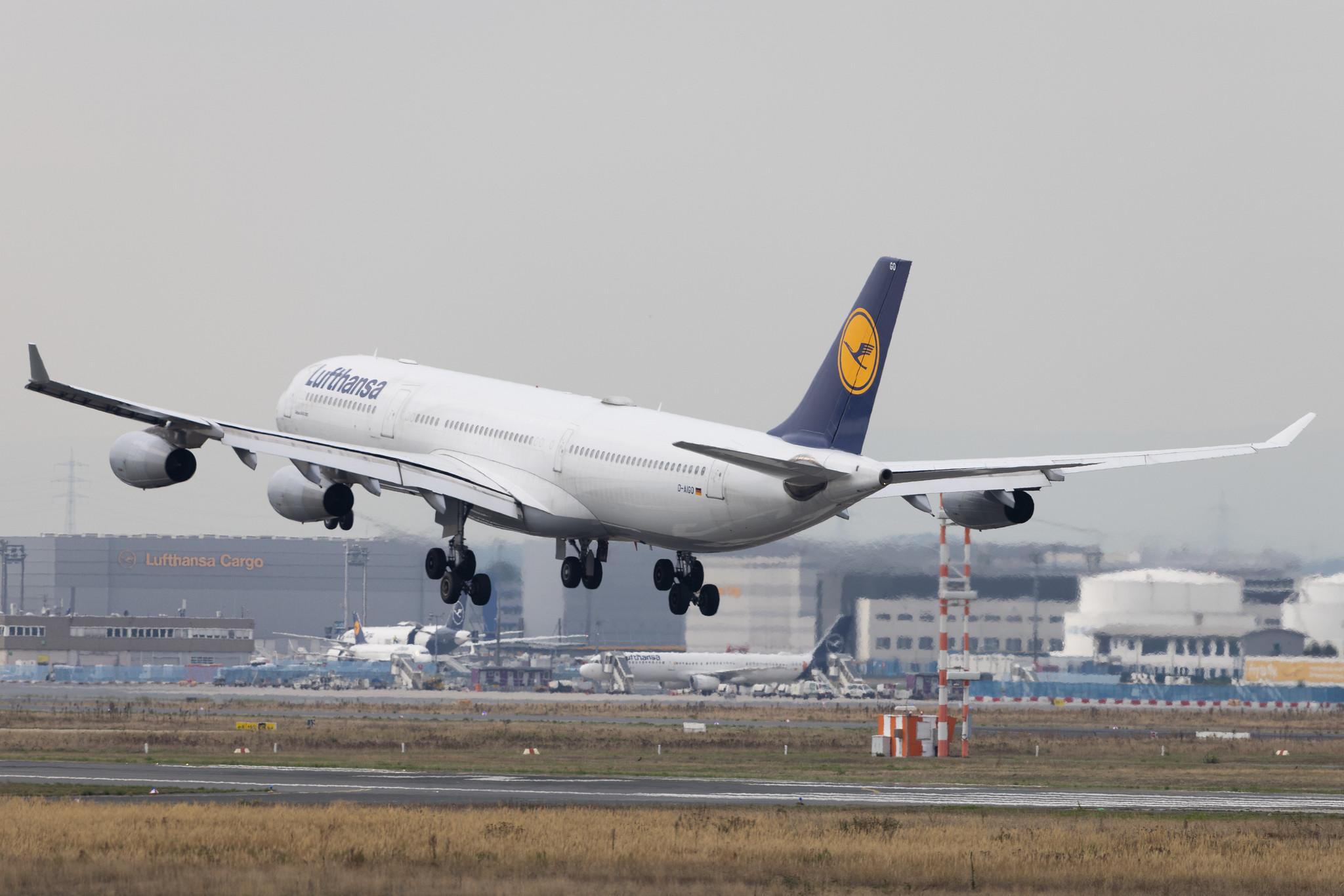 Frankfurt Airport: Lufthansa (LH / DLH) | Airbus A340-313 A343 | D-AIGO | MSN 0233