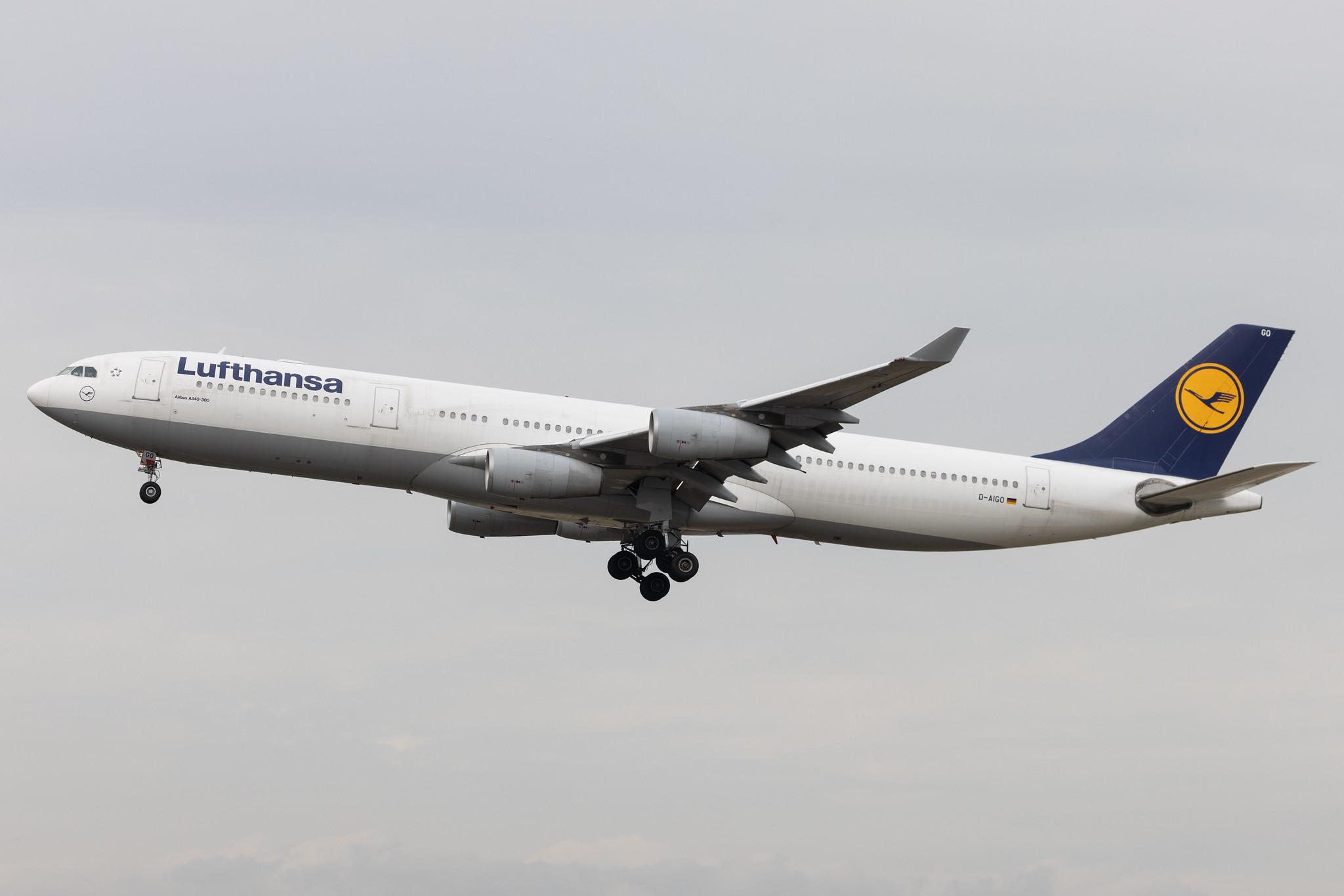 Frankfurt Airport: Lufthansa (LH / DLH) | Airbus A340-313 A343 | D-AIGO | MSN 0233