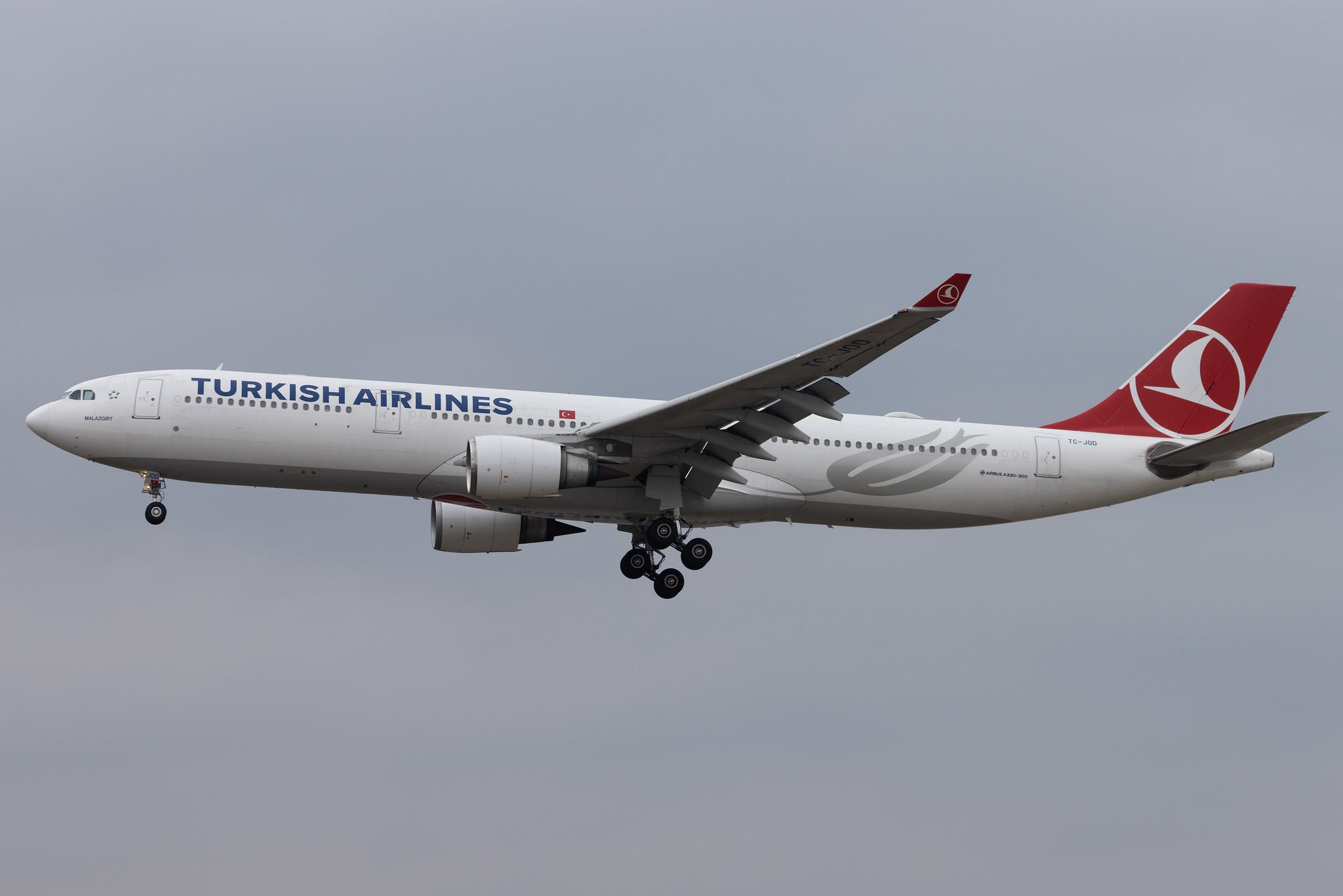 Frankfurt Airport: Turkish Airlines (TK / THY) | Airbus A330-303 A333 | TC-JOD | MSN 1529