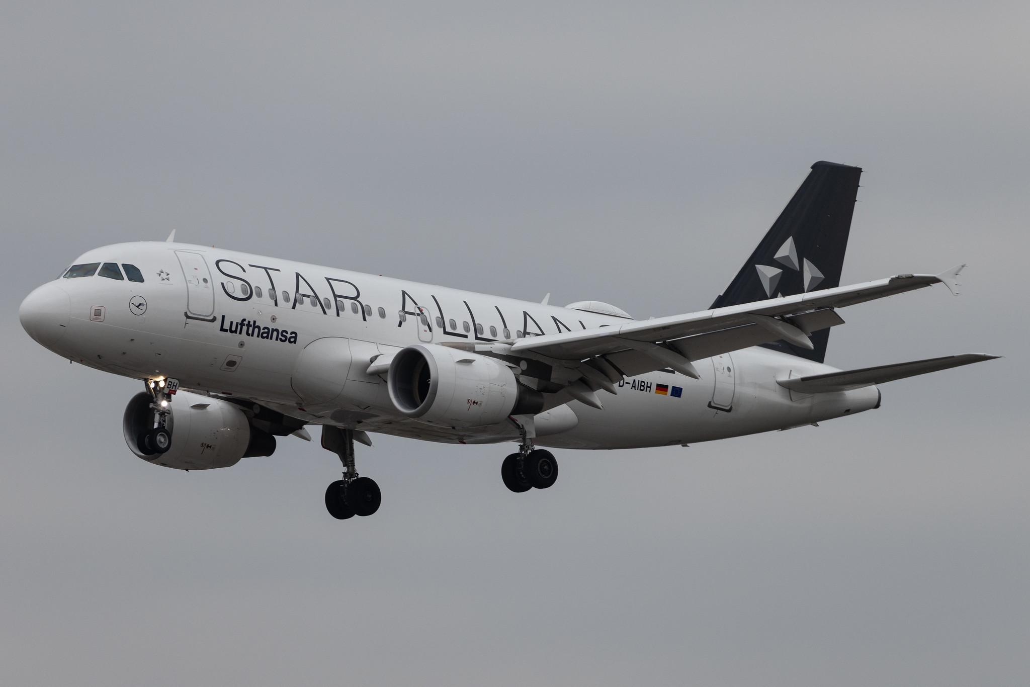 Frankfurt Airport: Lufthansa (LH / DLH) | Livery: Star Alliance Livery | Airbus A319-112 A319 | D-AIBH | MSN 5239