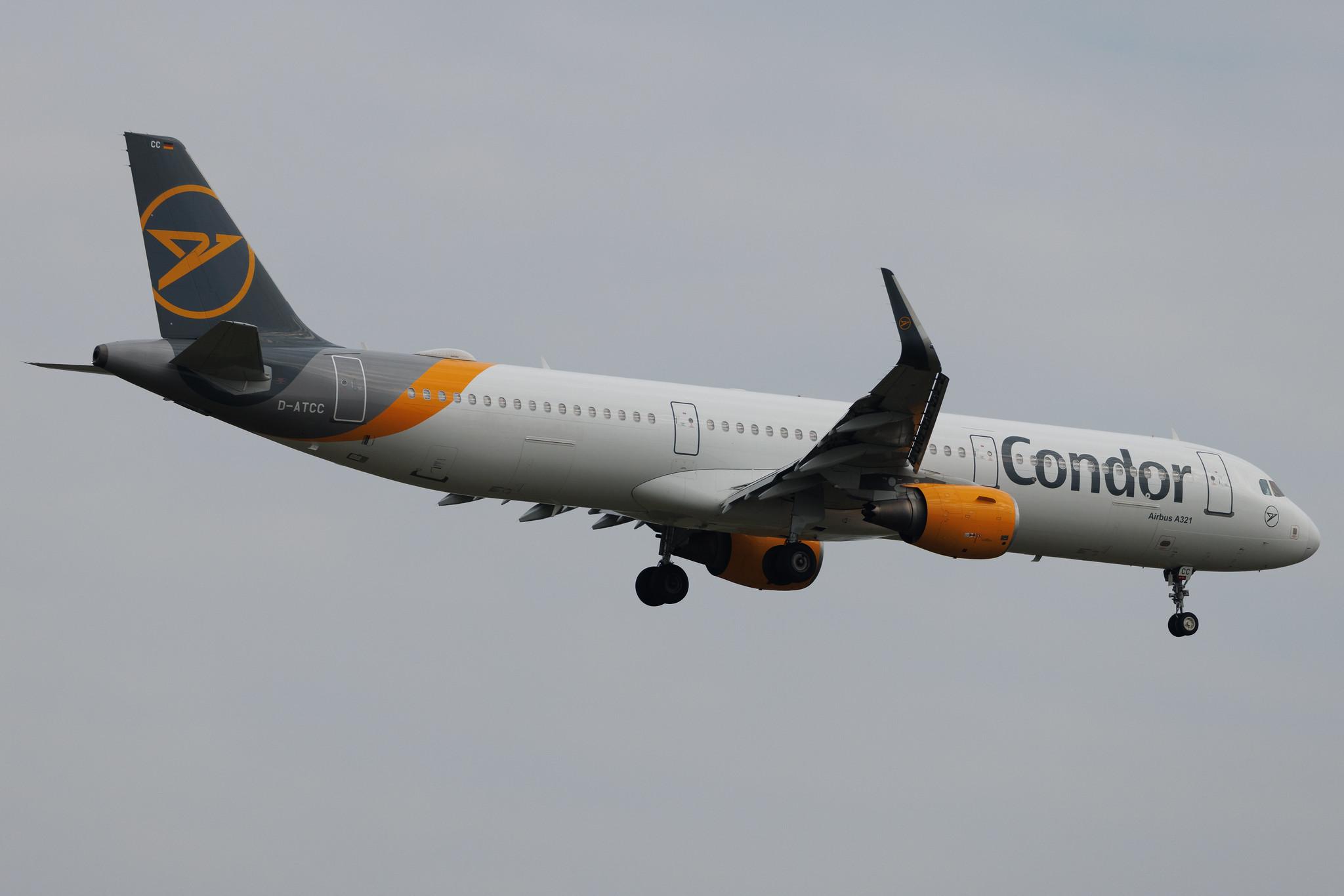 Frankfurt Airport: Condor (DE / CFG) |  Airbus A321-211 A321 | D-ATCC | MSN 6501
