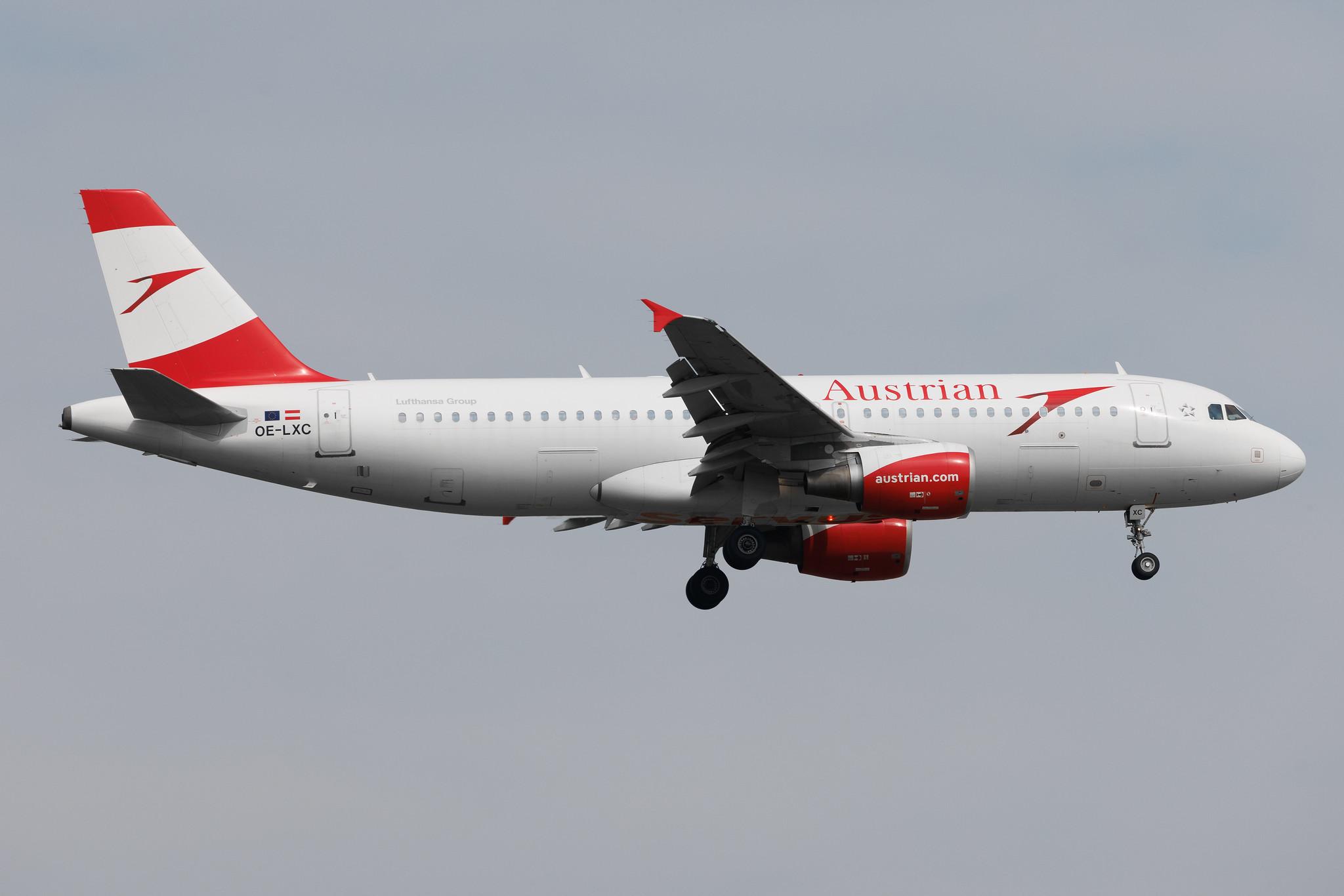 Frankfurt Airport: Austrian Airlines (OS / AUA) | Airbus A320-216 A320 | OE-LXC | MSN 3502