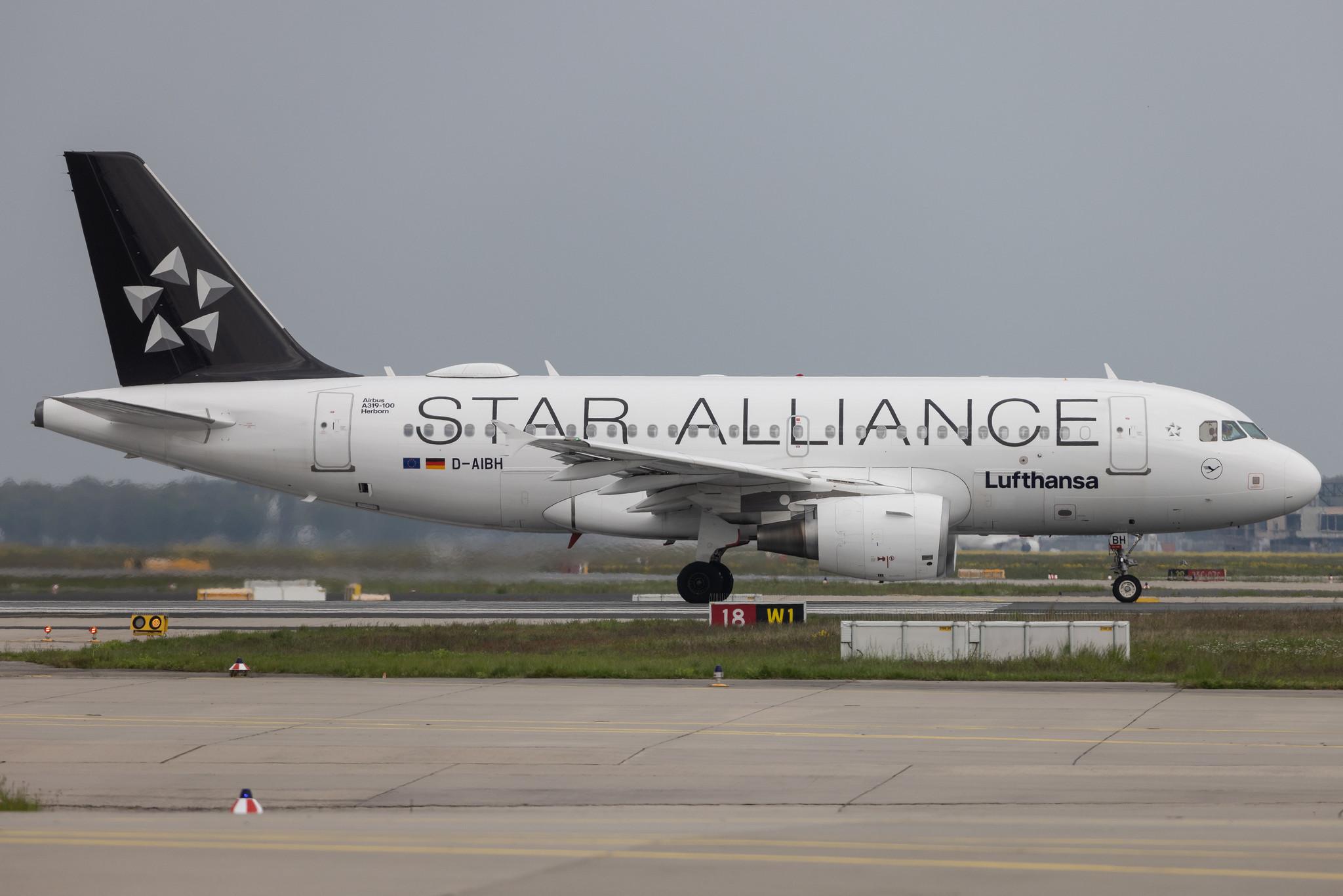 Frankfurt Airport: Lufthansa (LH / DLH) | Livery: Star Alliance Livery | Airbus A319-112 A319 | D-AIBH | MSN 5239