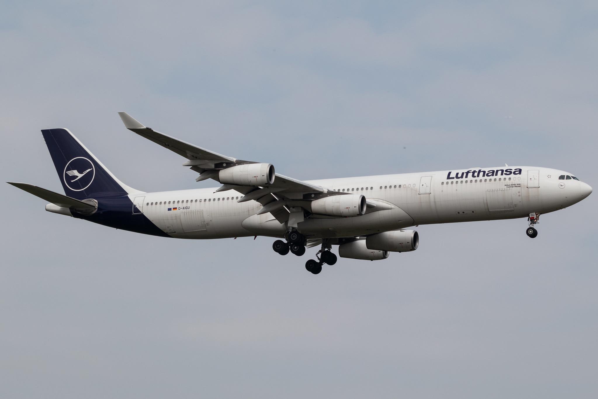 Frankfurt Airport: Lufthansa (LH / DLH) | Airbus A340-313 A343 | D-AIGU | MSN 0321