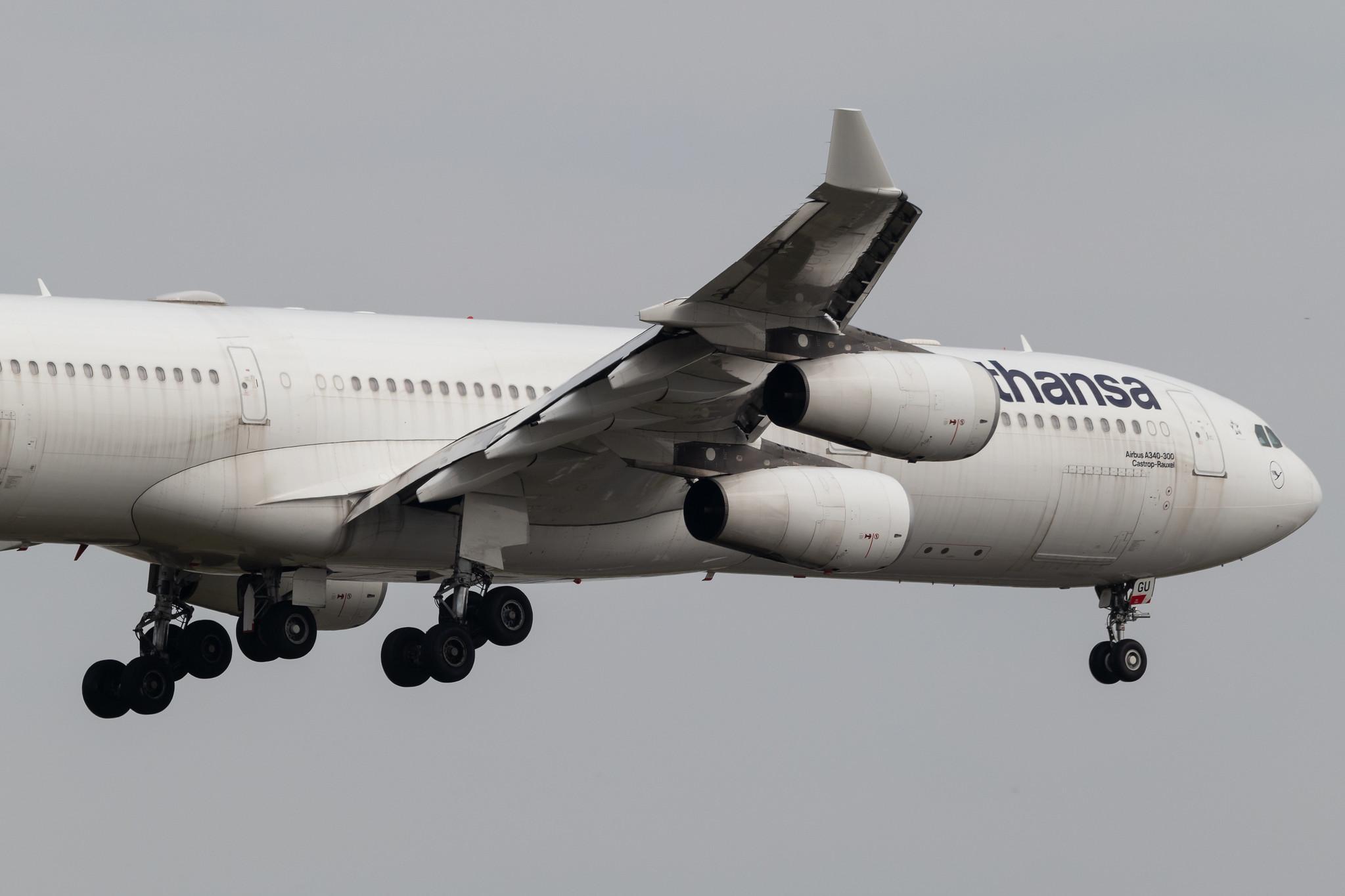 Frankfurt Airport: Lufthansa (LH / DLH) | Airbus A340-313 A343 | D-AIGU | MSN 0321