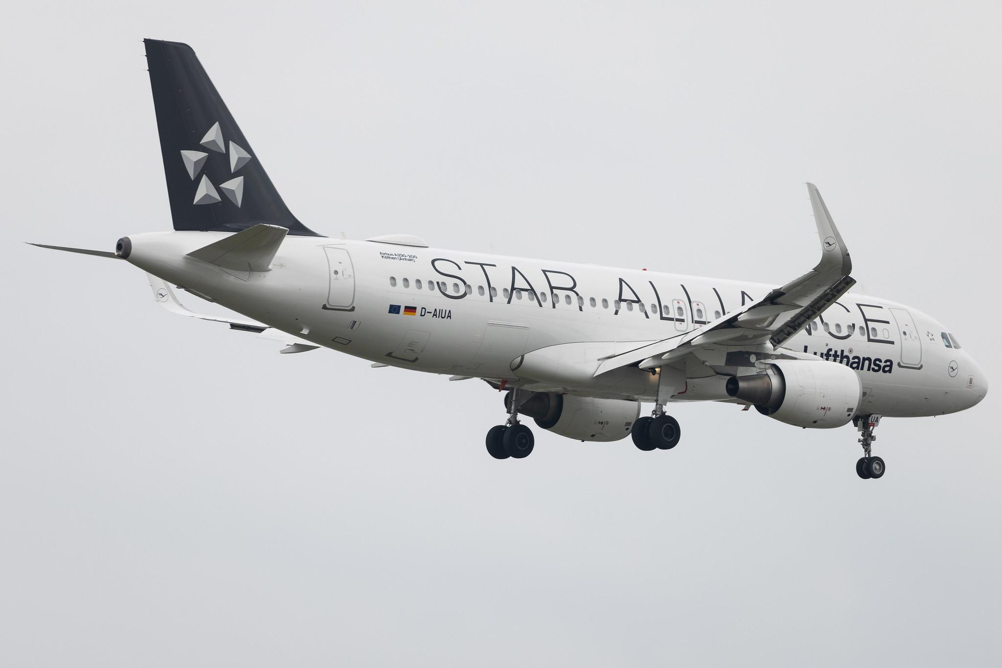 Frankfurt Airport: Lufthansa (LH / DLH) | Livery: Star Alliance Livery | Airbus A320-214 A320 | D-AIUA | MSN 5935