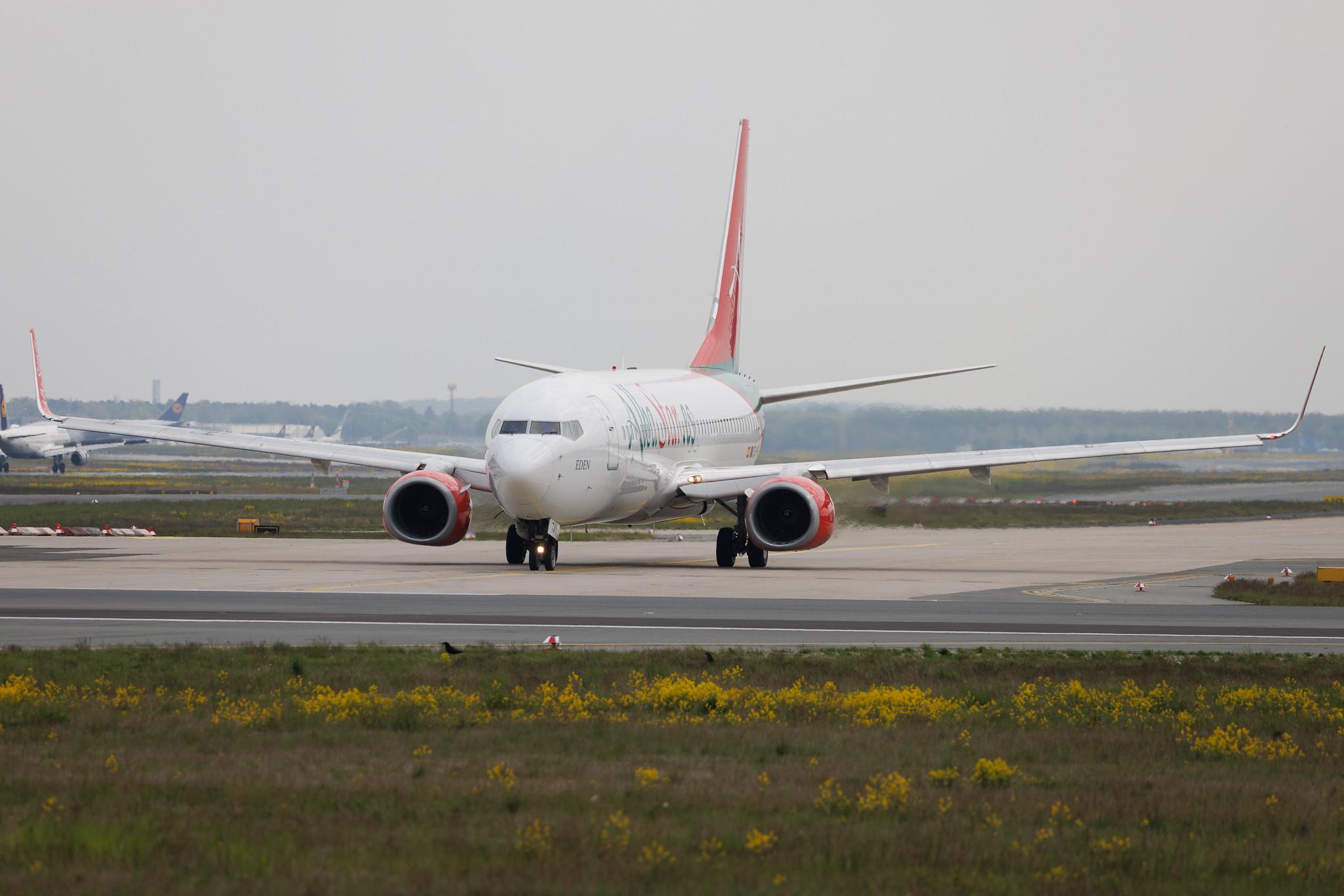 Frankfurt Airport: AlbaStar (AP / LAV) | Boeing 737-8K5 B738 | EC-MTV | MSN 27992