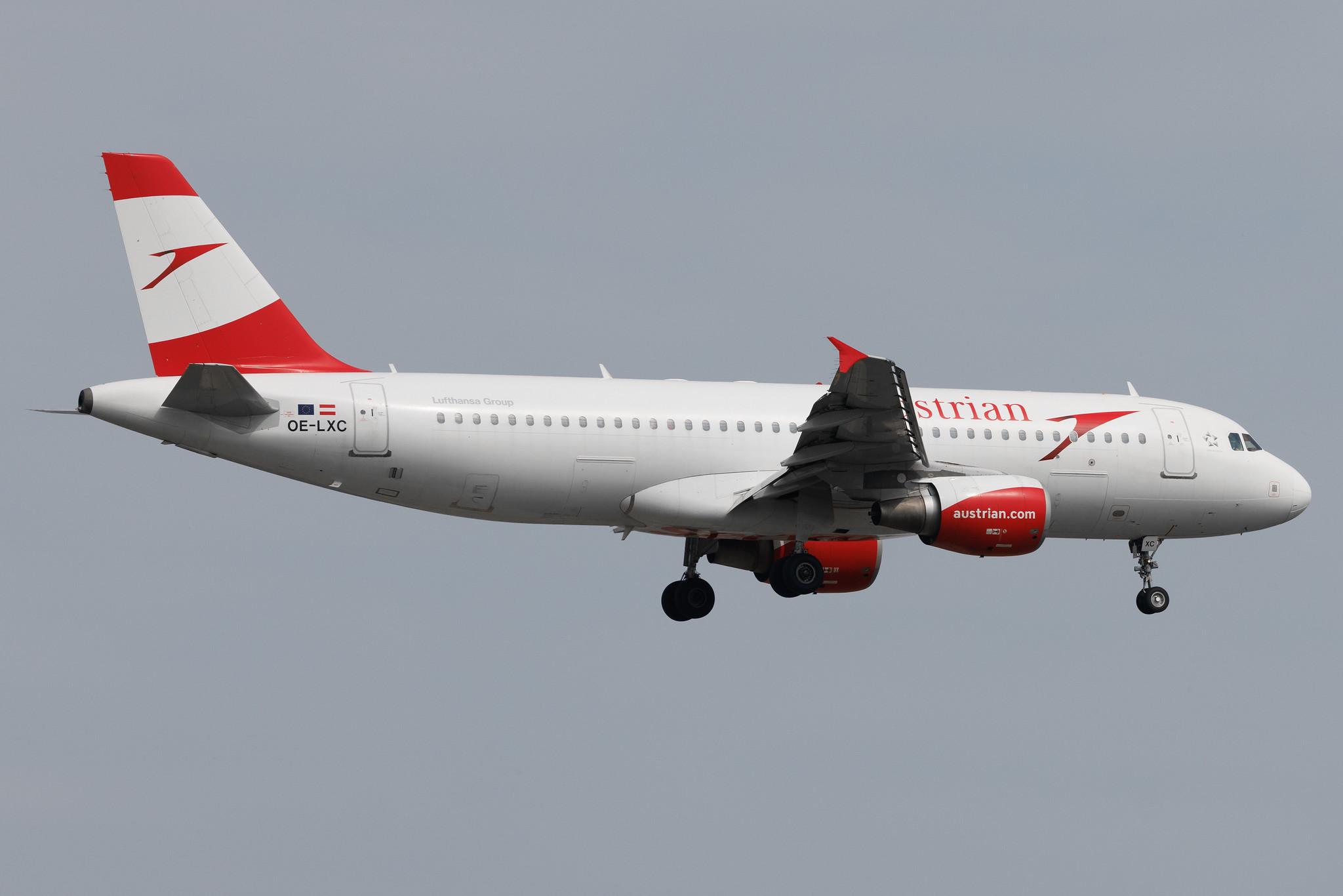 Frankfurt Airport: Austrian Airlines (OS / AUA) | Airbus A320-216 A320 | OE-LXC | MSN 3502