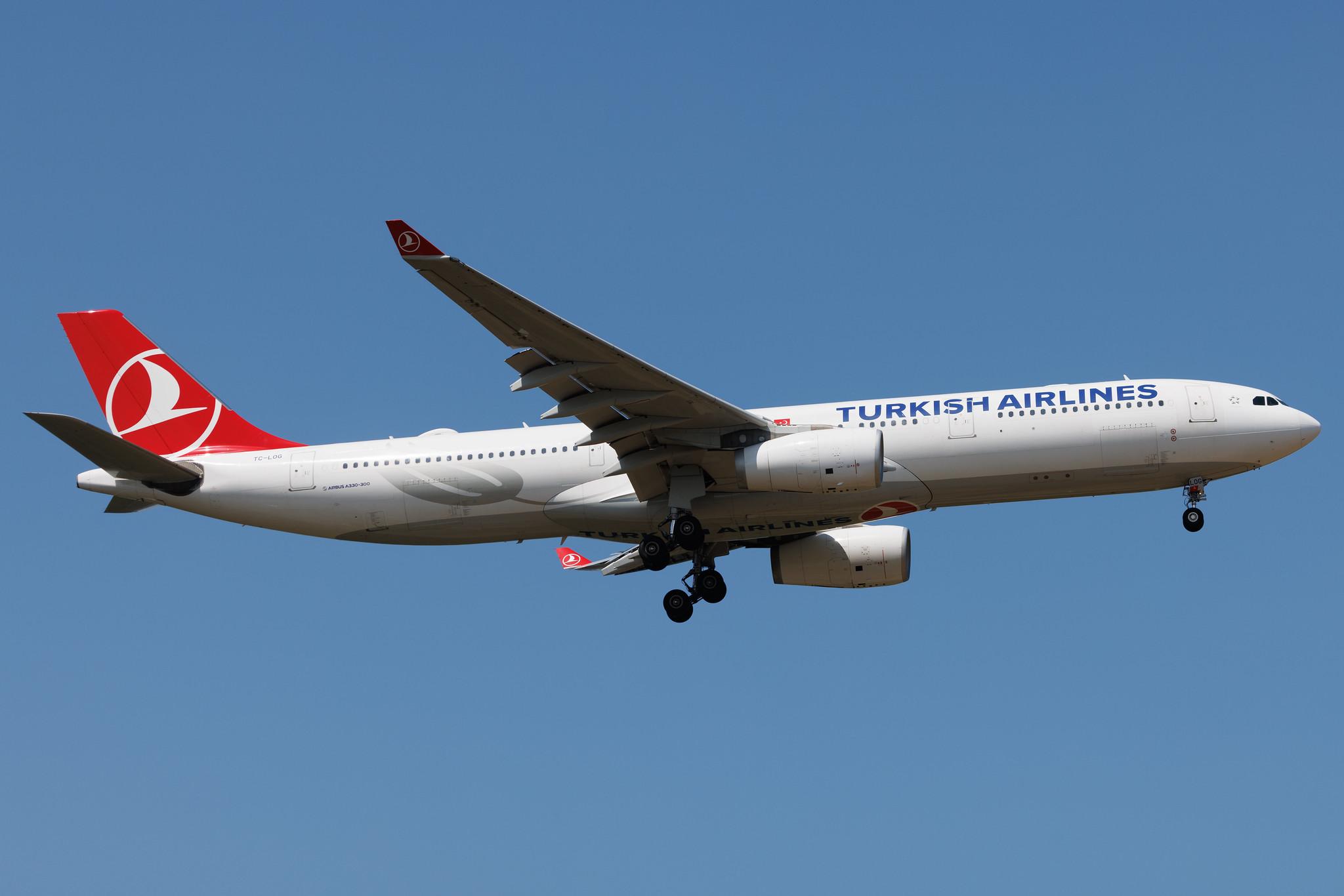 Frankfurt Airport: Turkish Airlines (TK / THY) | Airbus A330-343 A333 | TC-LOG | MSN 1651