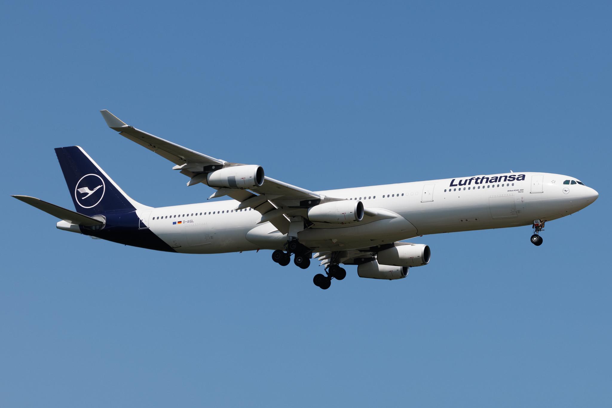 Frankfurt Airport: Lufthansa (LH / DLH) | Airbus A340-313 A343 | D-AIGL | MSN 0135