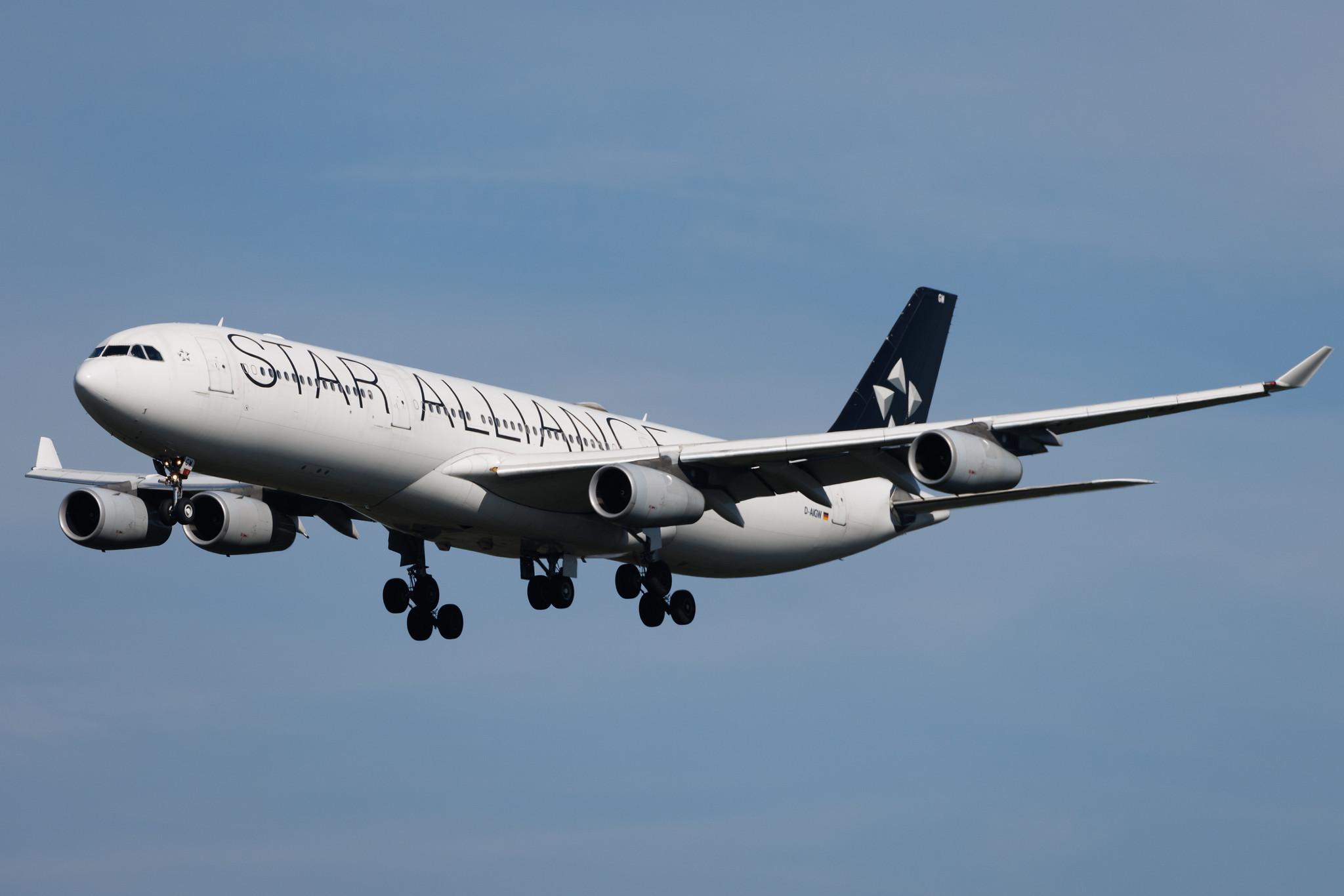 Frankfurt Airport: Lufthansa (LH / DLH) | Livery: Star Alliance Livery | Airbus A340-313 A343 | D-AIGW | MSN 0327