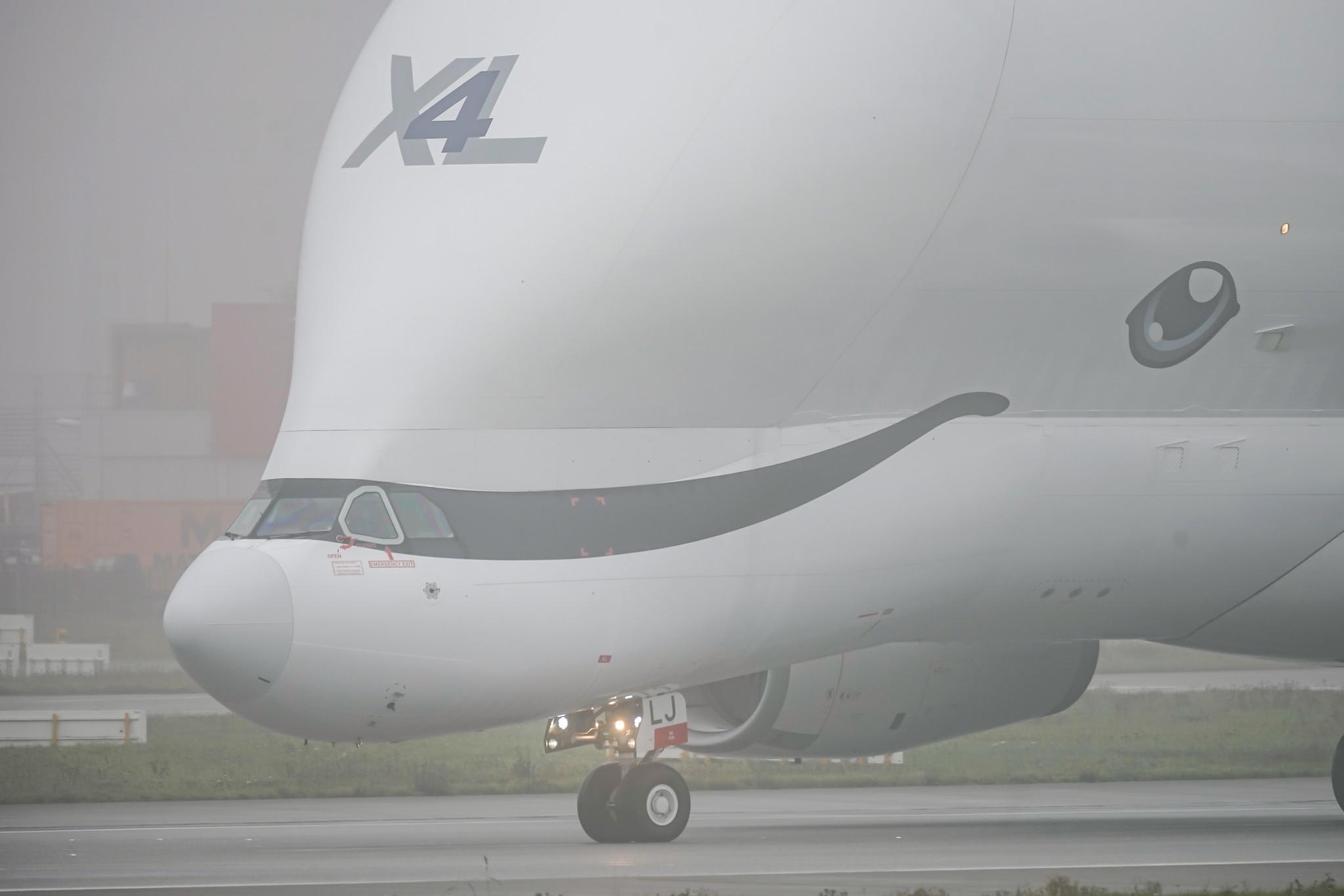 Hamburg Finkenwerder: Airbus Transport International (4Y / BGA) | Airbus A330-743L Beluga XL A337 | F-GXLJ | MSN 1985